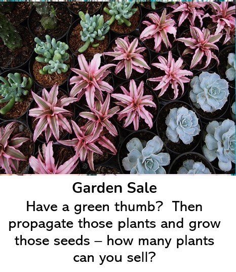 garden sale.jpg