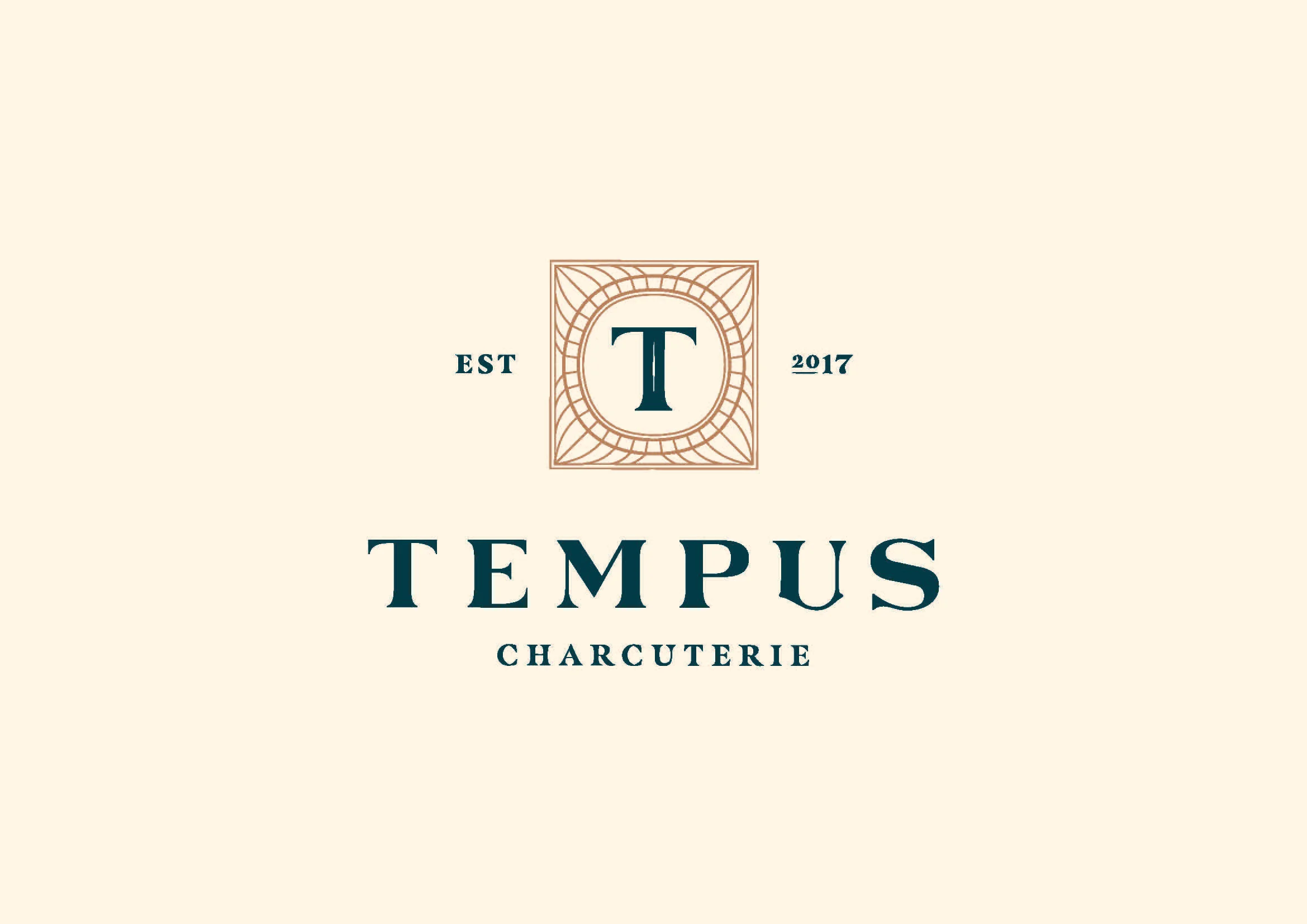 Tempus_Primary-Logo_Colour-CMYK-optimised.jpg