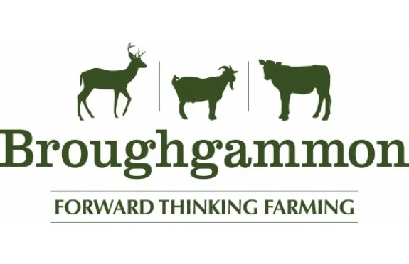 Broughgammon Ltd.jpg