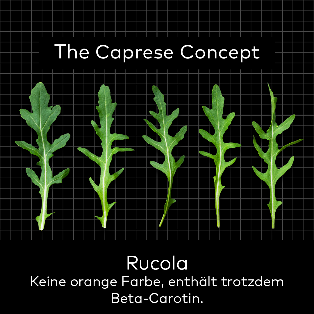 CapreseConcept_Rucola.png