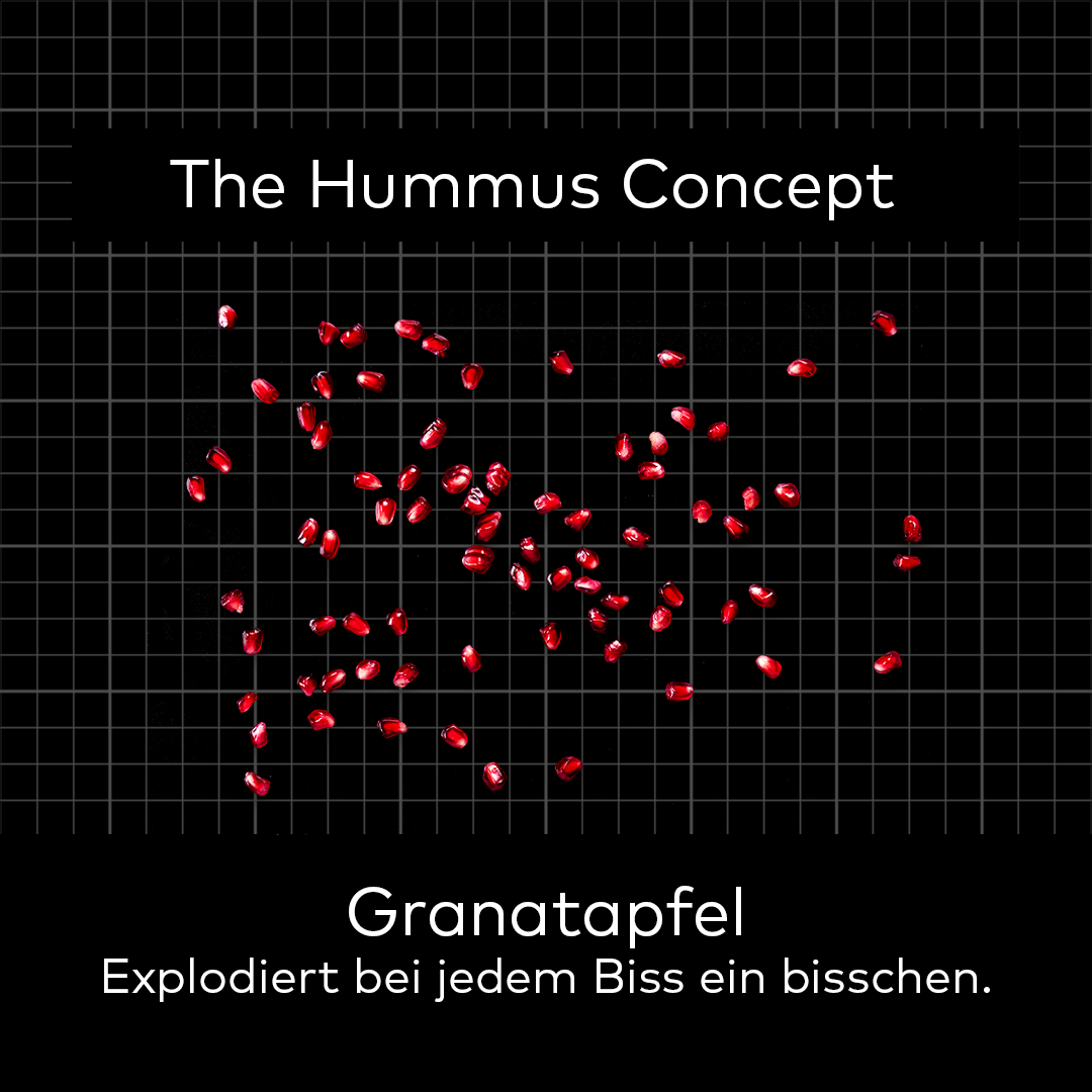 HummusConcept_Granatapfel.png