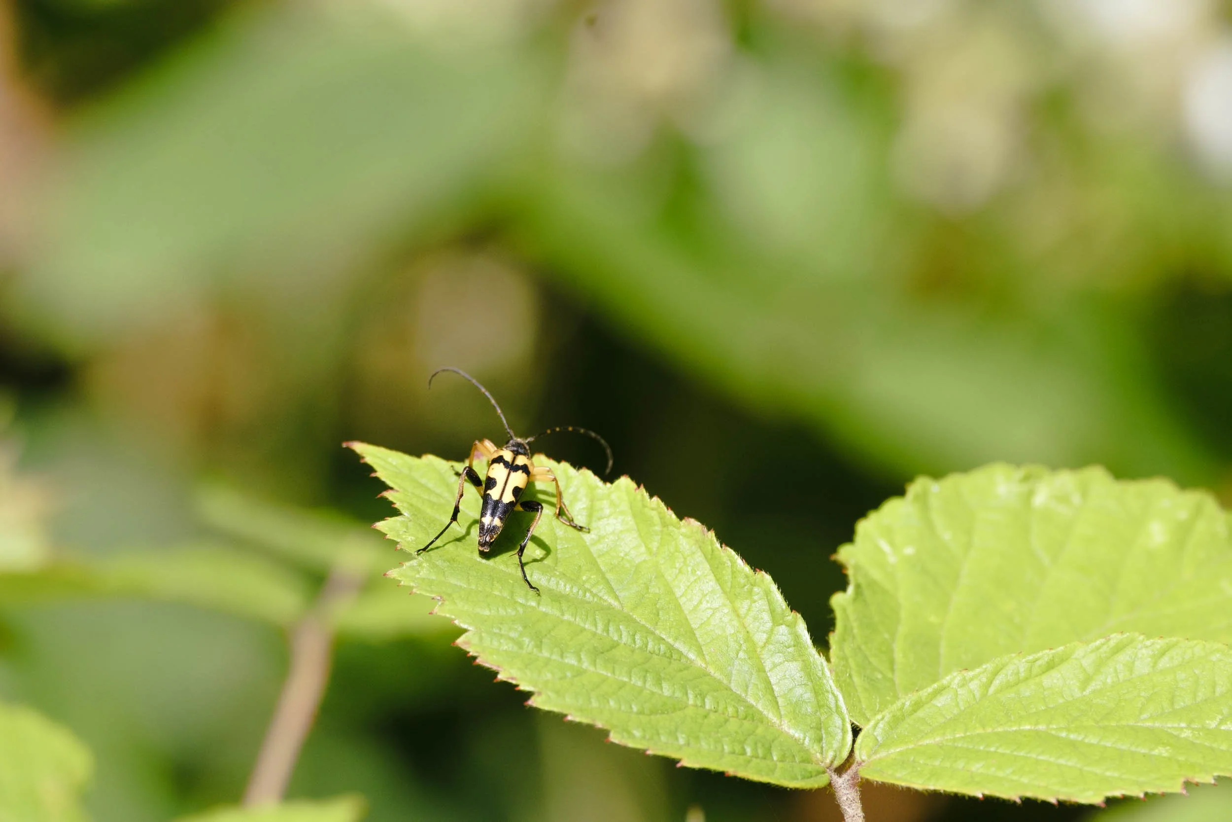 _DSF9759_low_res.jpg