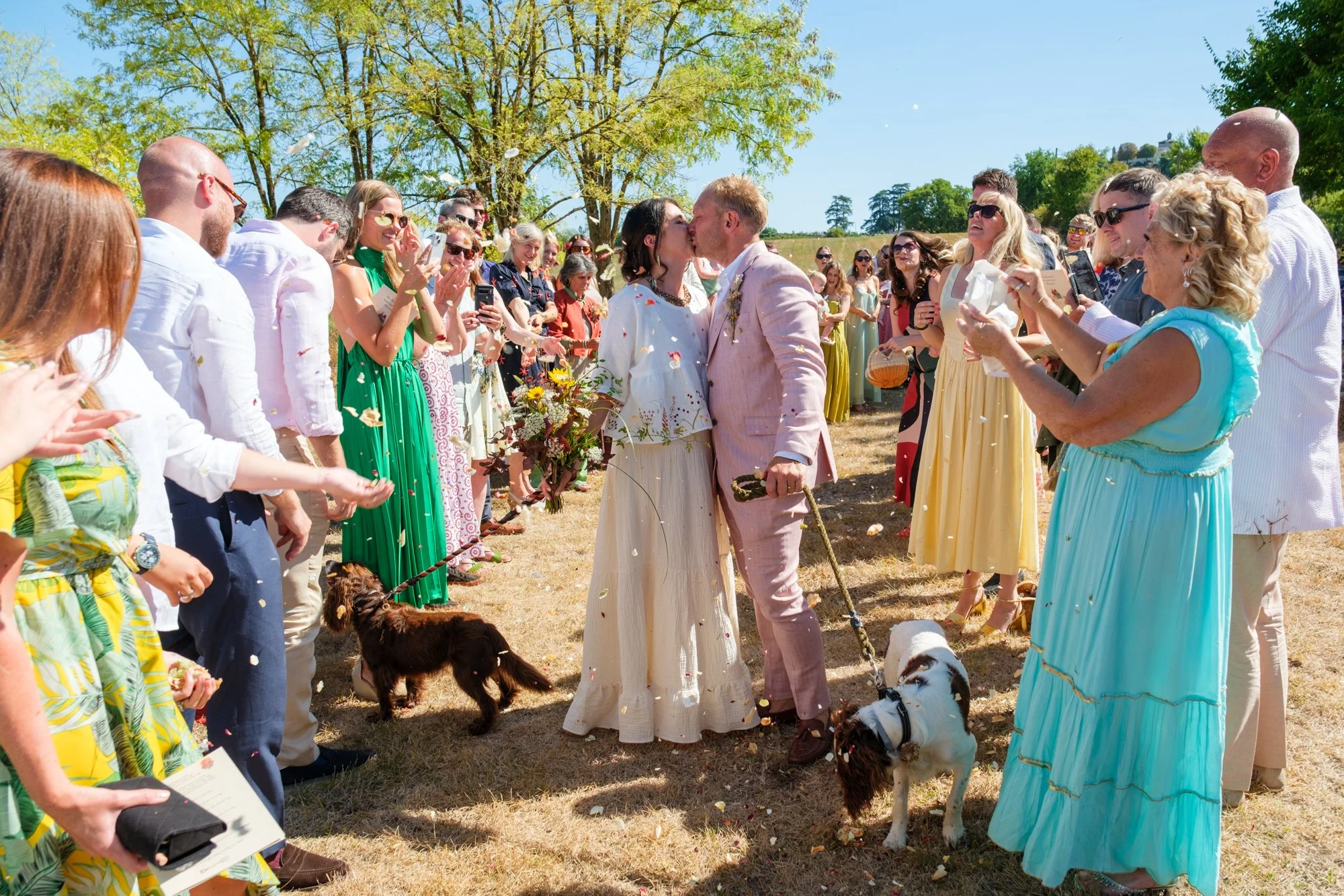 Bride and groom in confetti kissing whilst holding on to their dogs.