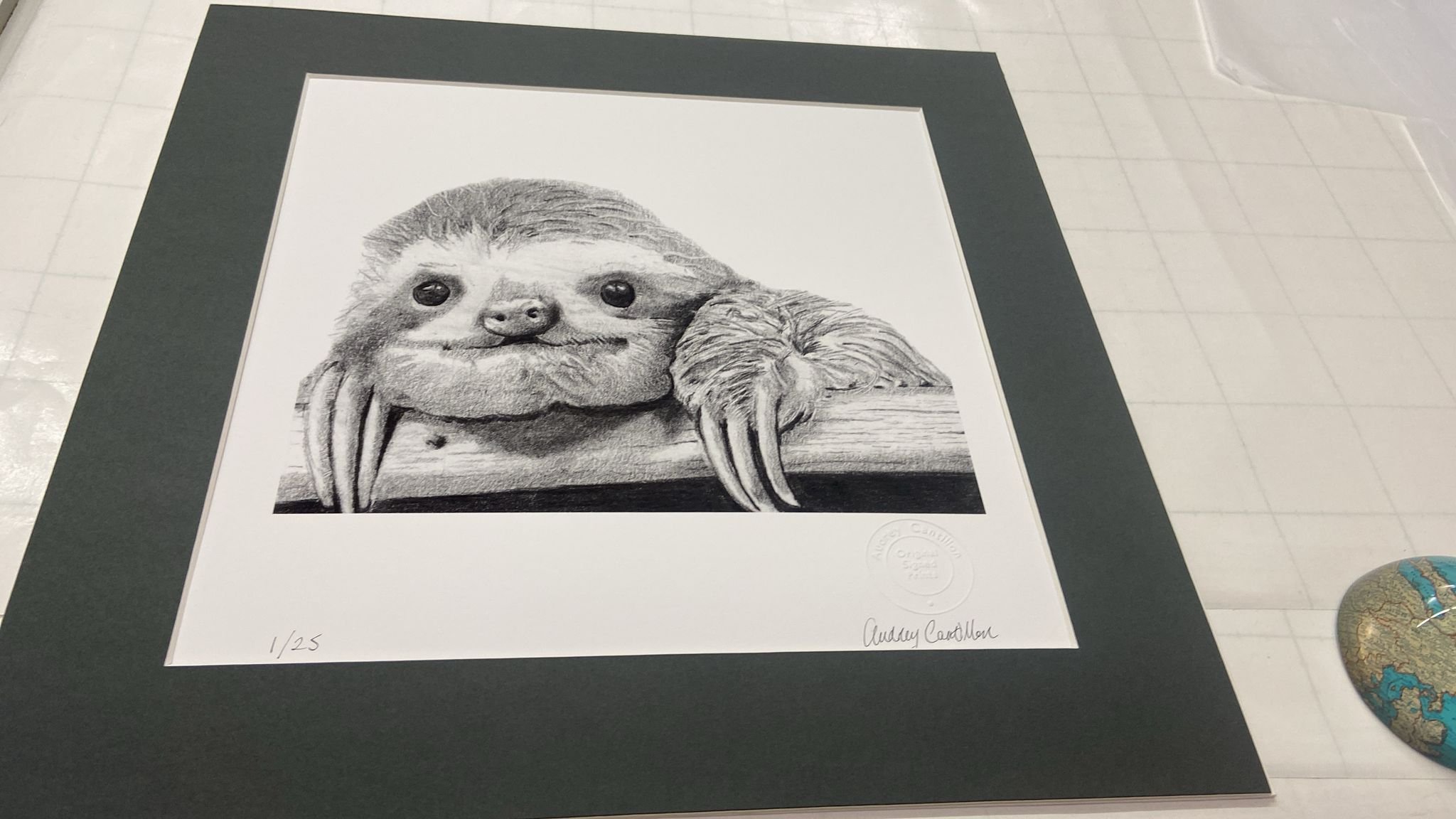 cutest little sloth.jpeg