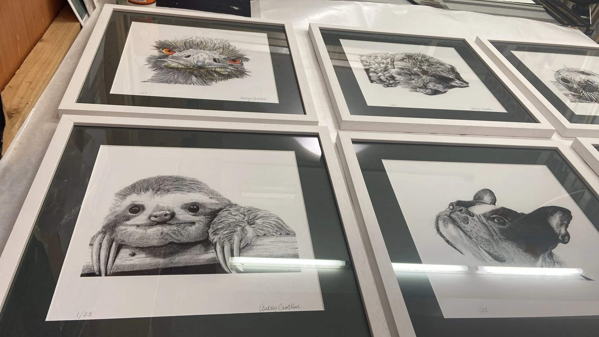 Sloth and friends at the framers.jpeg