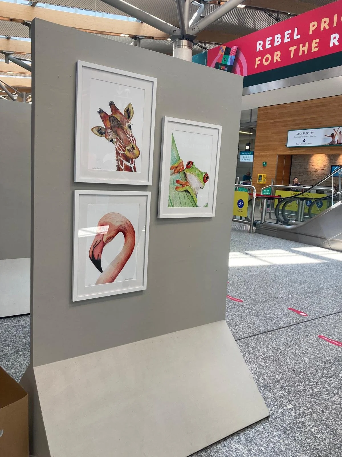 Animals x 3 - frog giraffee flamingo.jpeg