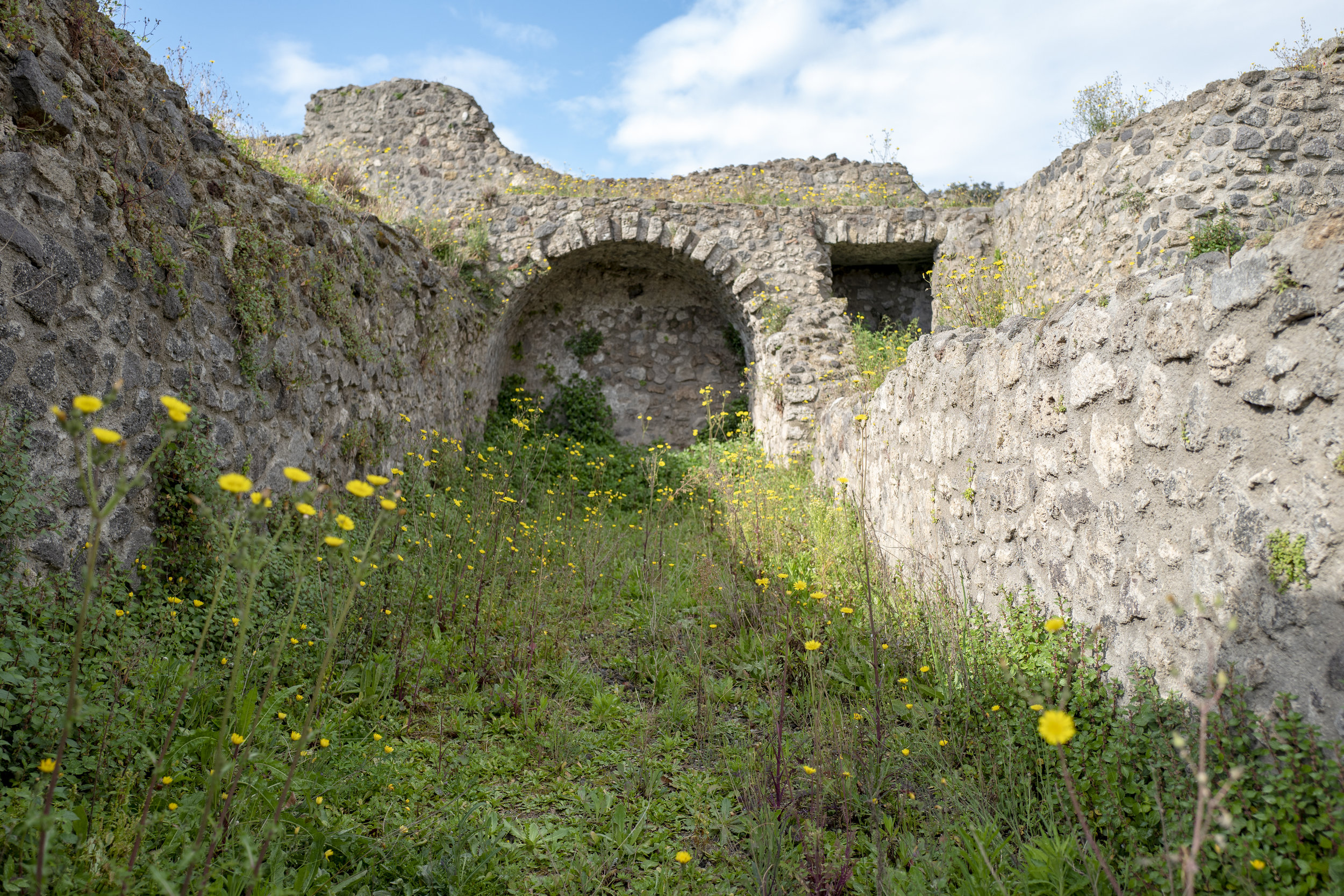 PompeiiVesuvius-64.jpg