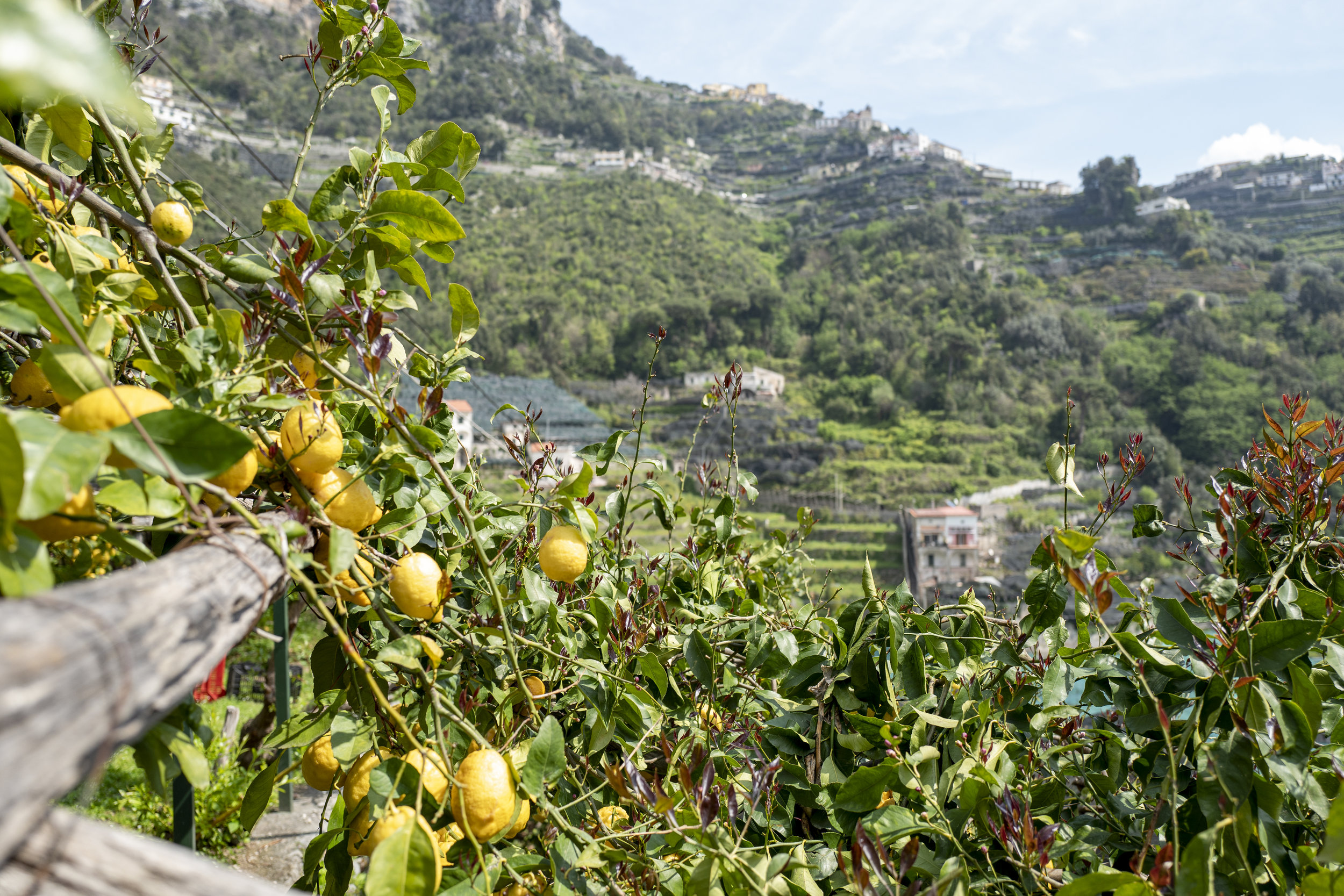 AmalfiCoast-477.jpg