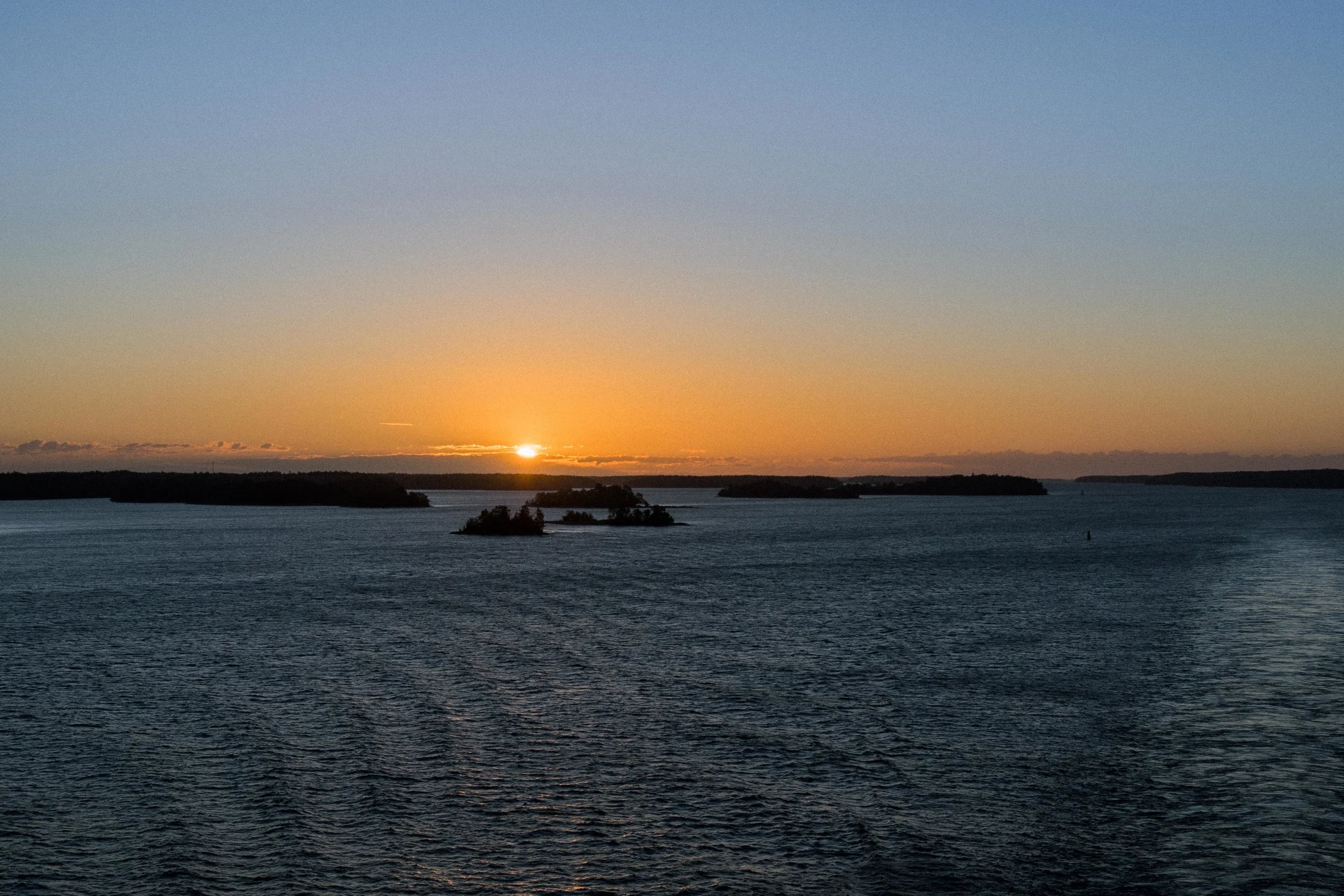 DSC08370.jpg