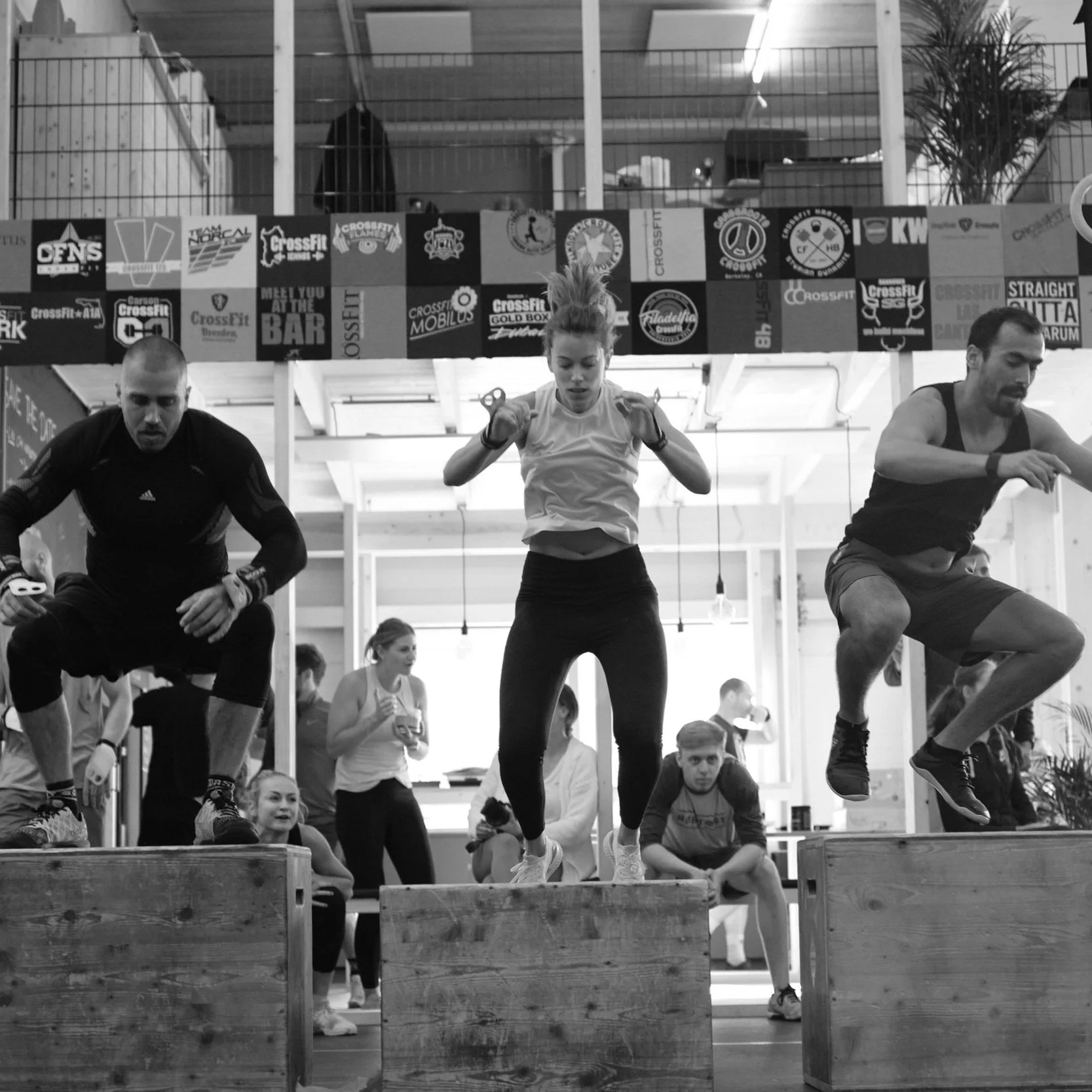 CFM Herbstspiele "Die 3 Muske(l)tiere"