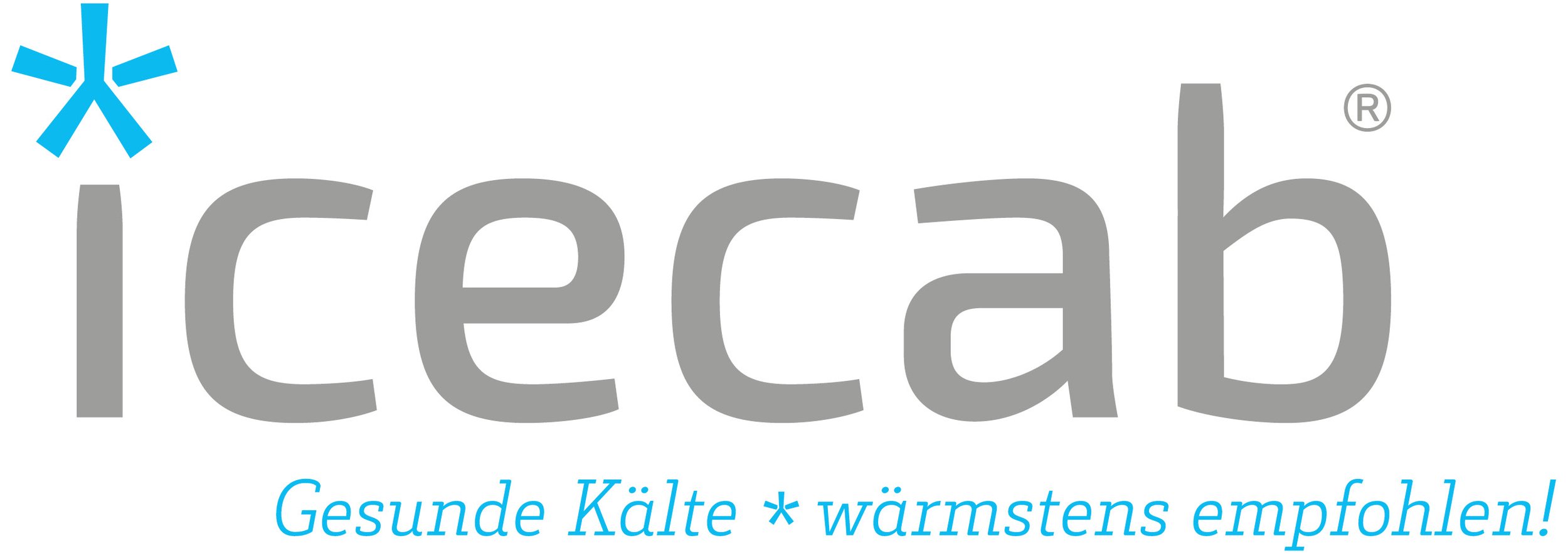 20230705_icecab_Logo_4C.JPG