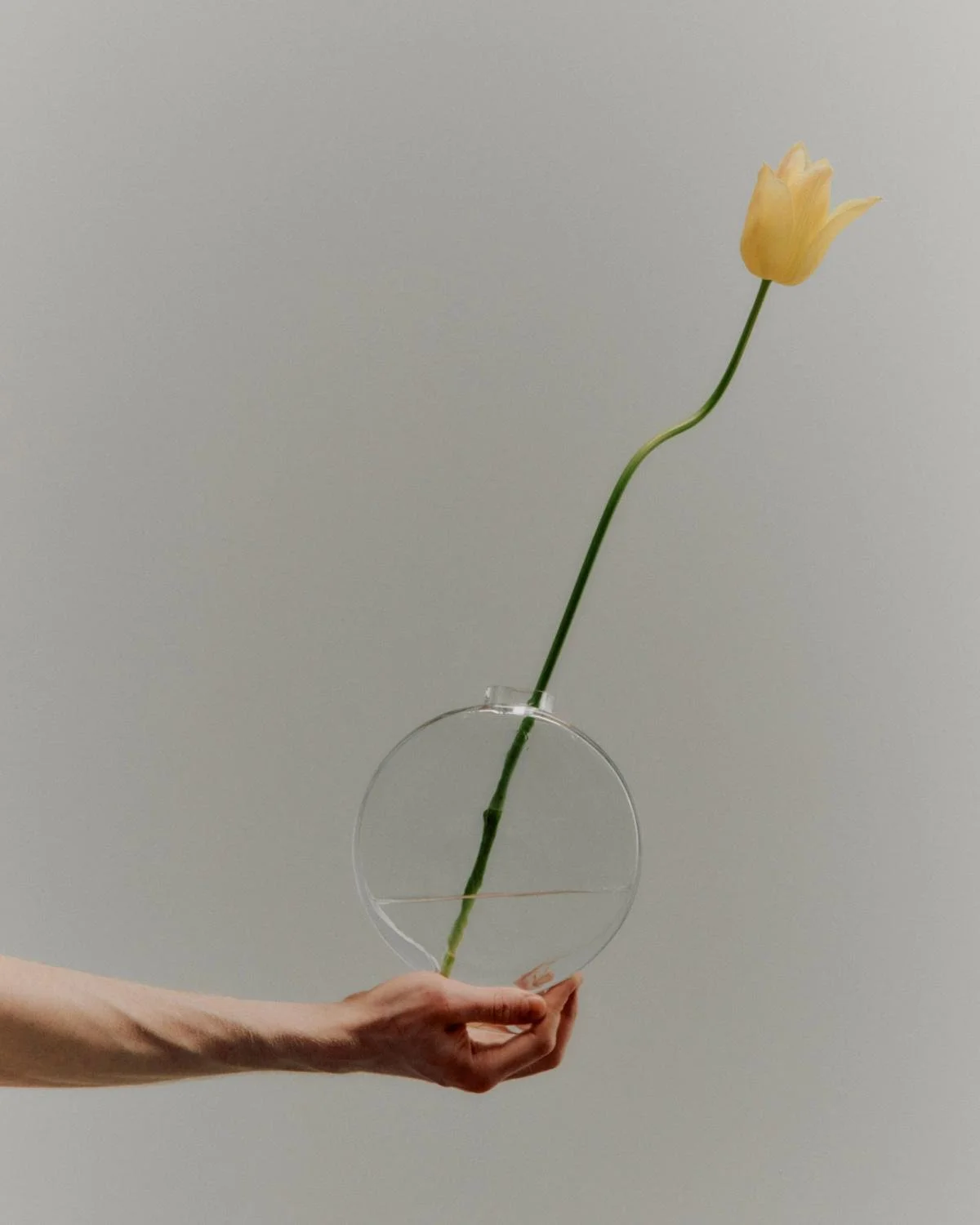 Vium Vase by Bjørn van den Berg 08.jpg