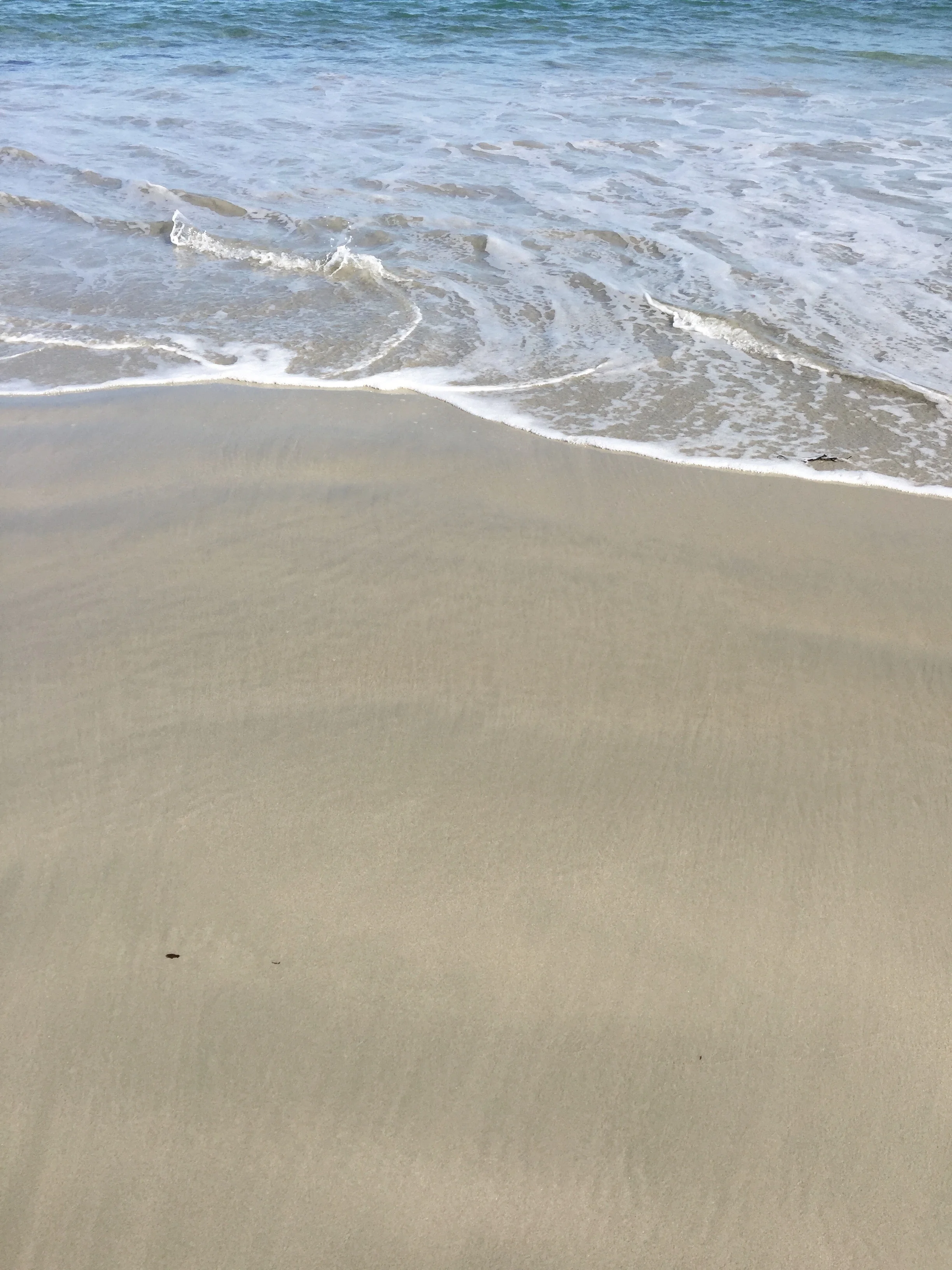 March+21_18+-+Freezing+Toes+at+Portelet.jpg