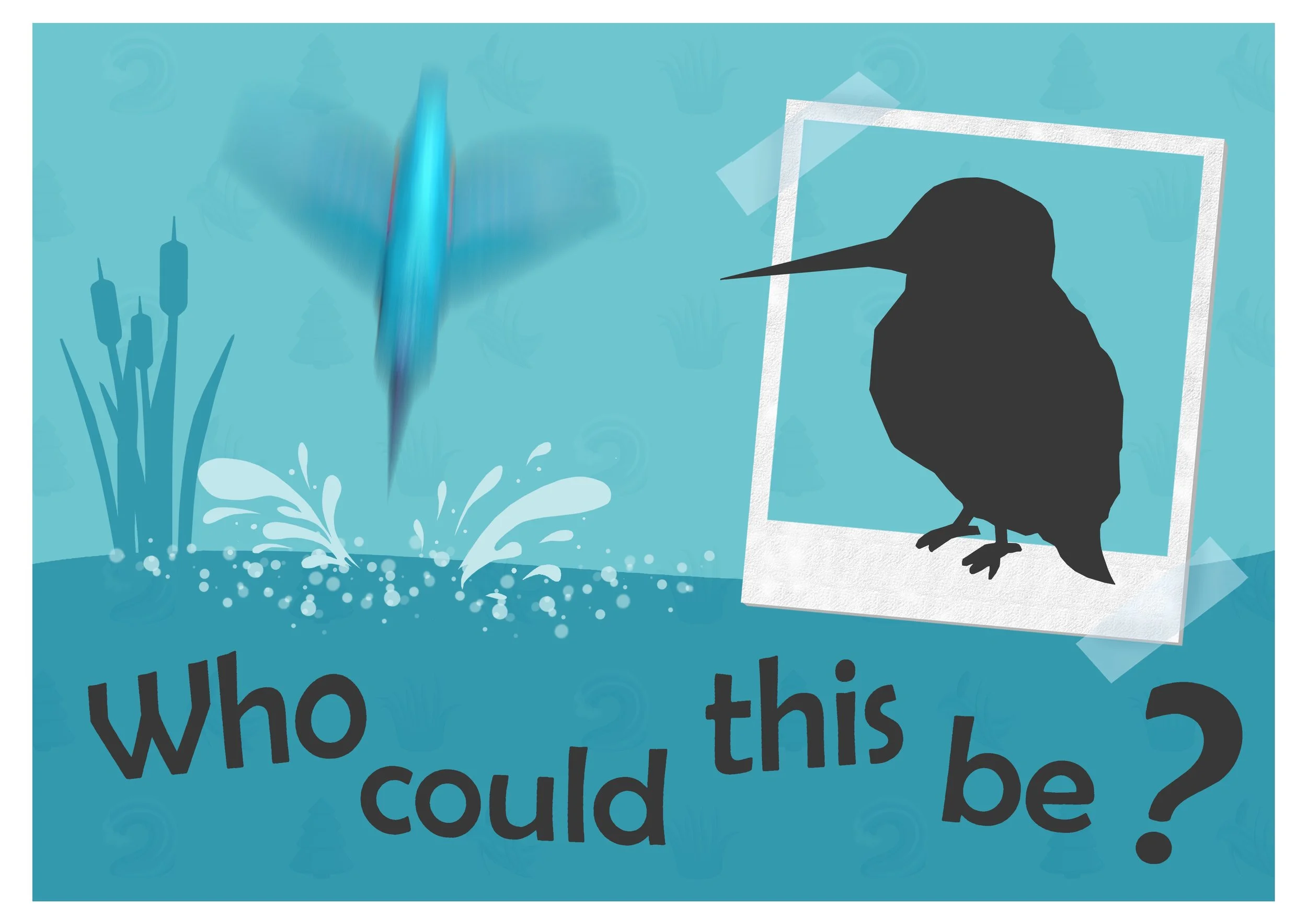 Kingfisher.jpg