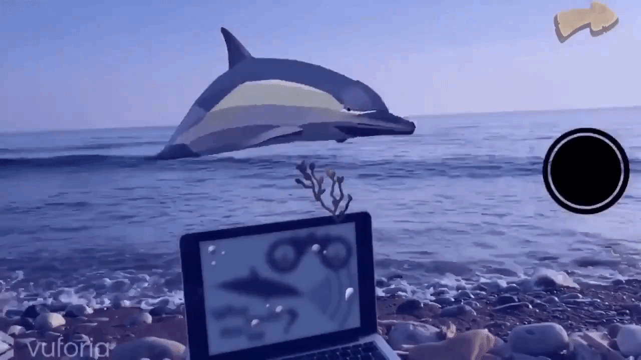 gif (2).gif