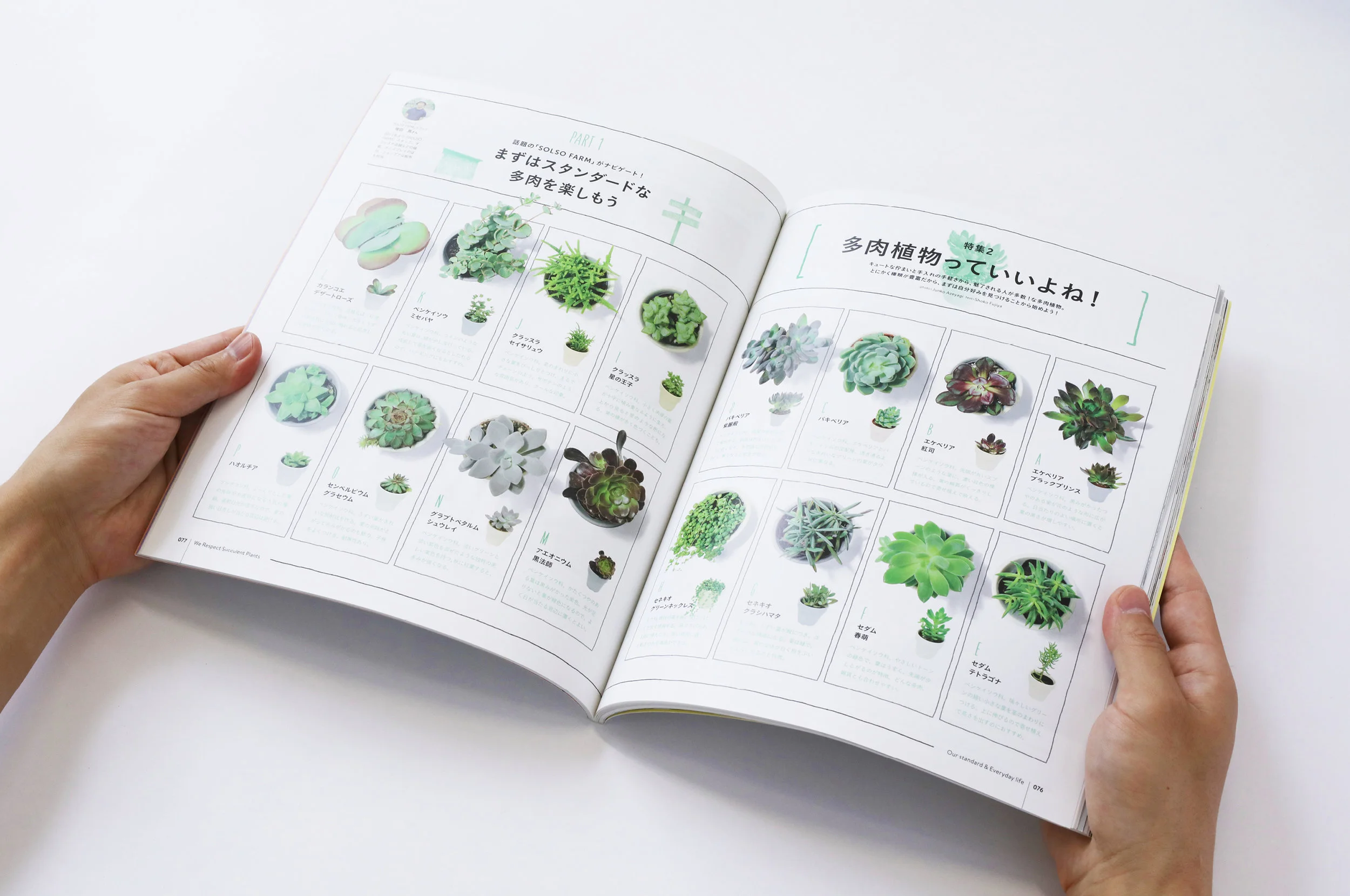 stylebook22.jpg