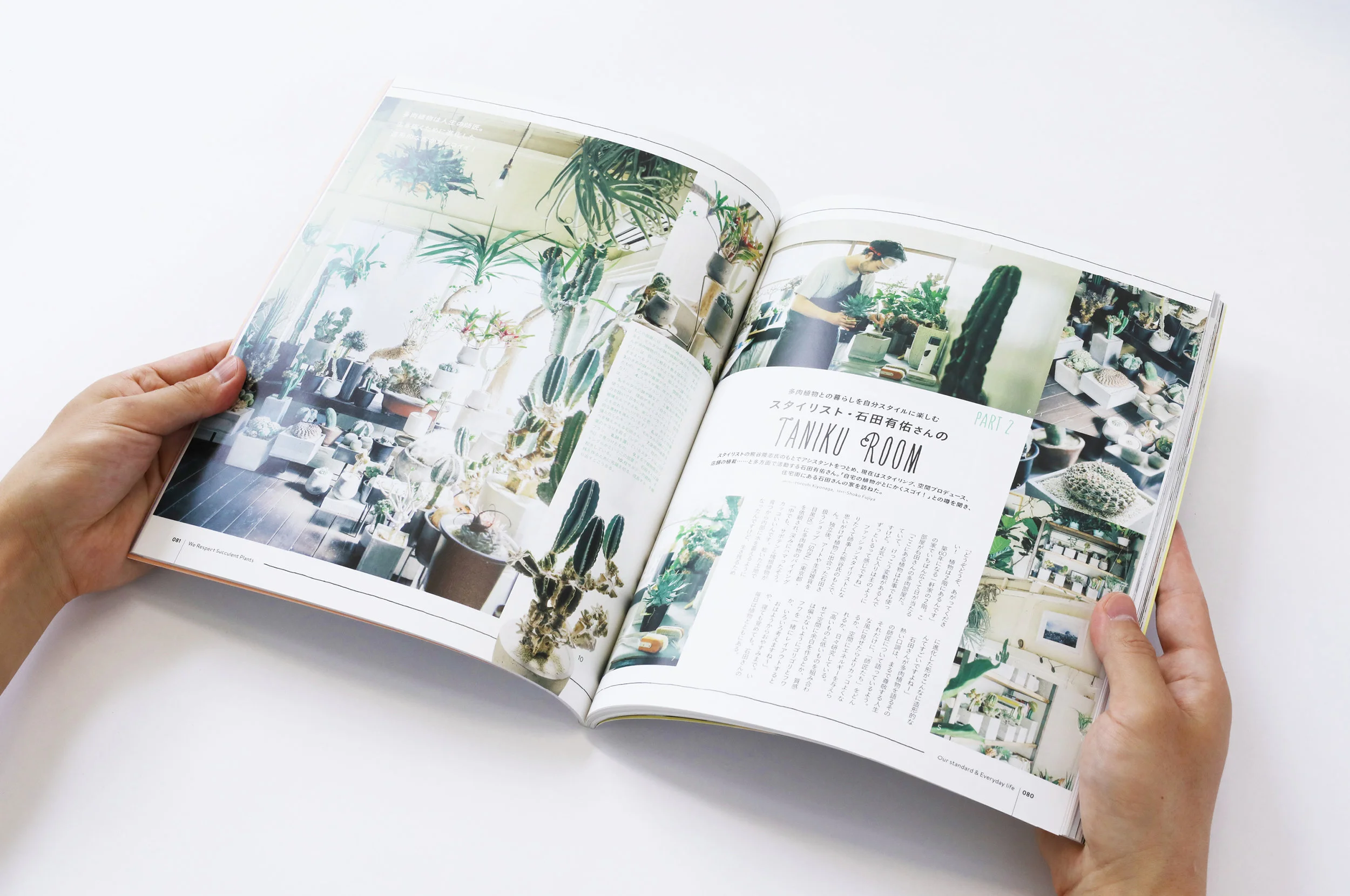 stylebook23.jpg