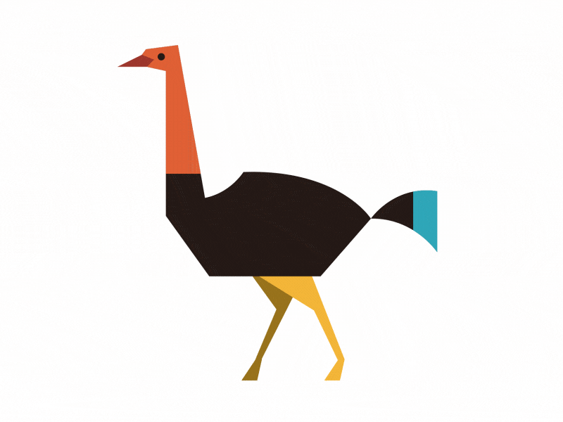 Ostrich.gif
