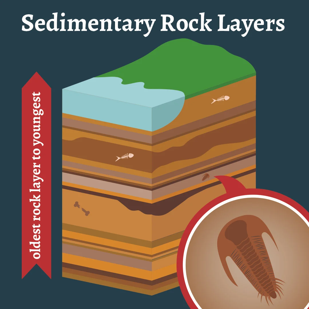 Rock Layers.jpg