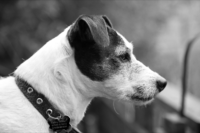 IMG_0362-2.png