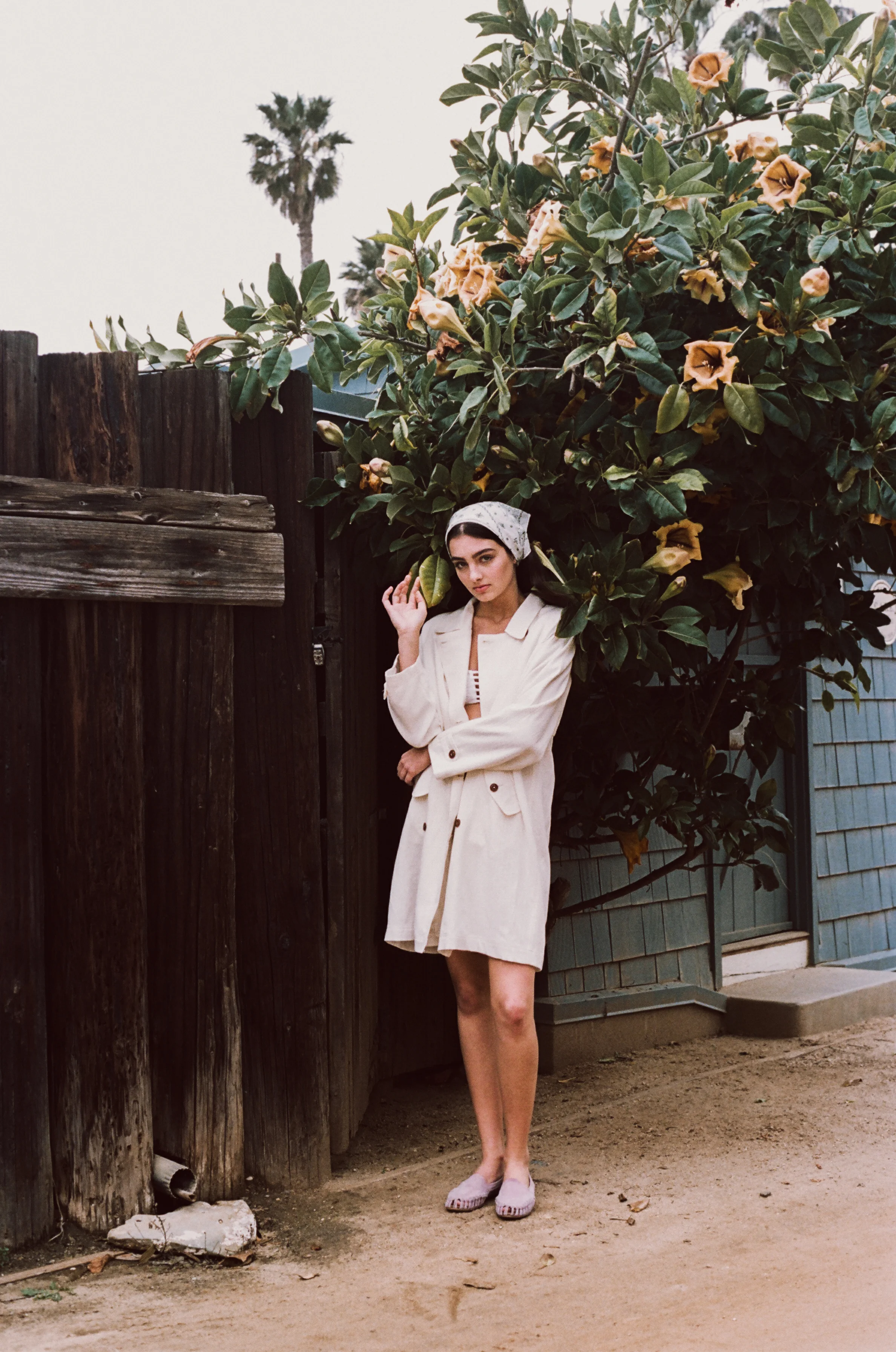 Escribe un título atractivo para la entrada del blog