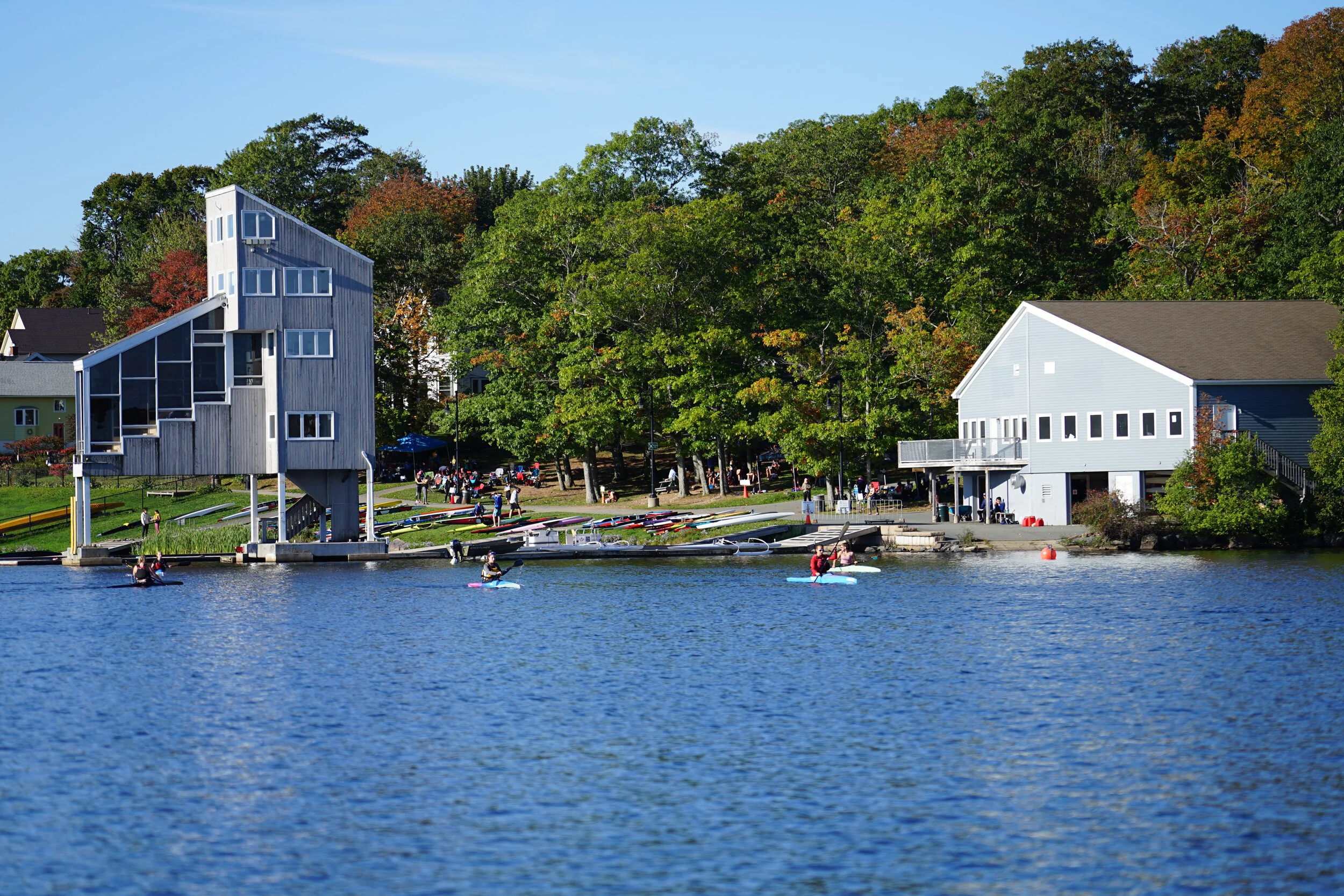 ADCKC Summer Newsletter