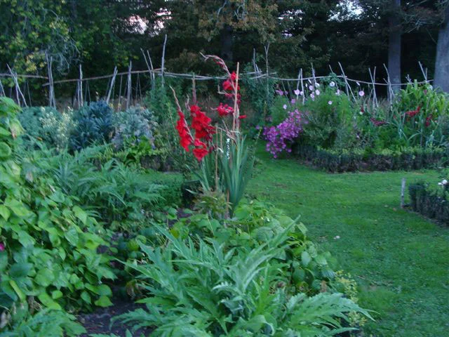 The Garden in Autumn