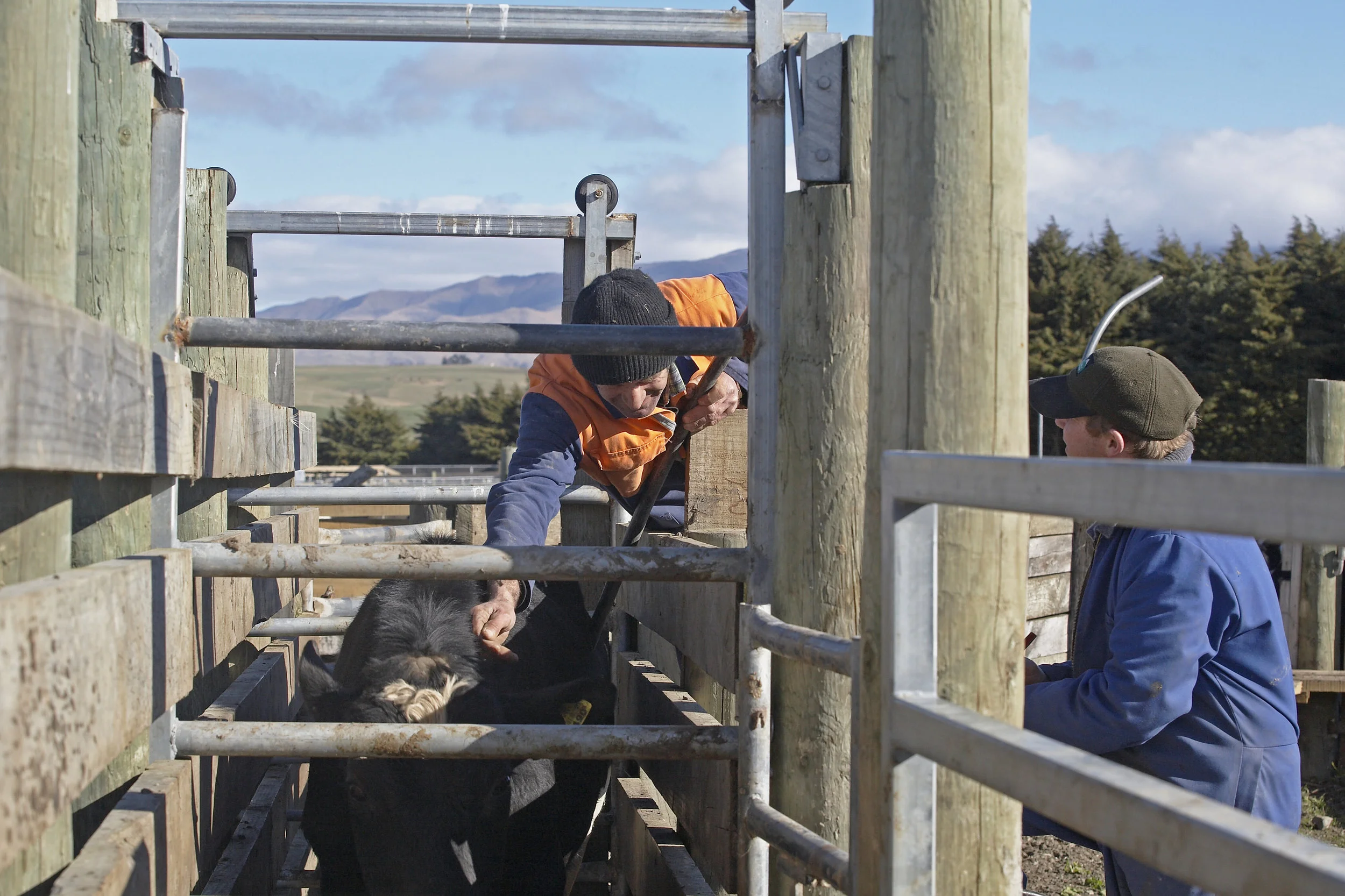 Craigmore Farm.jpg