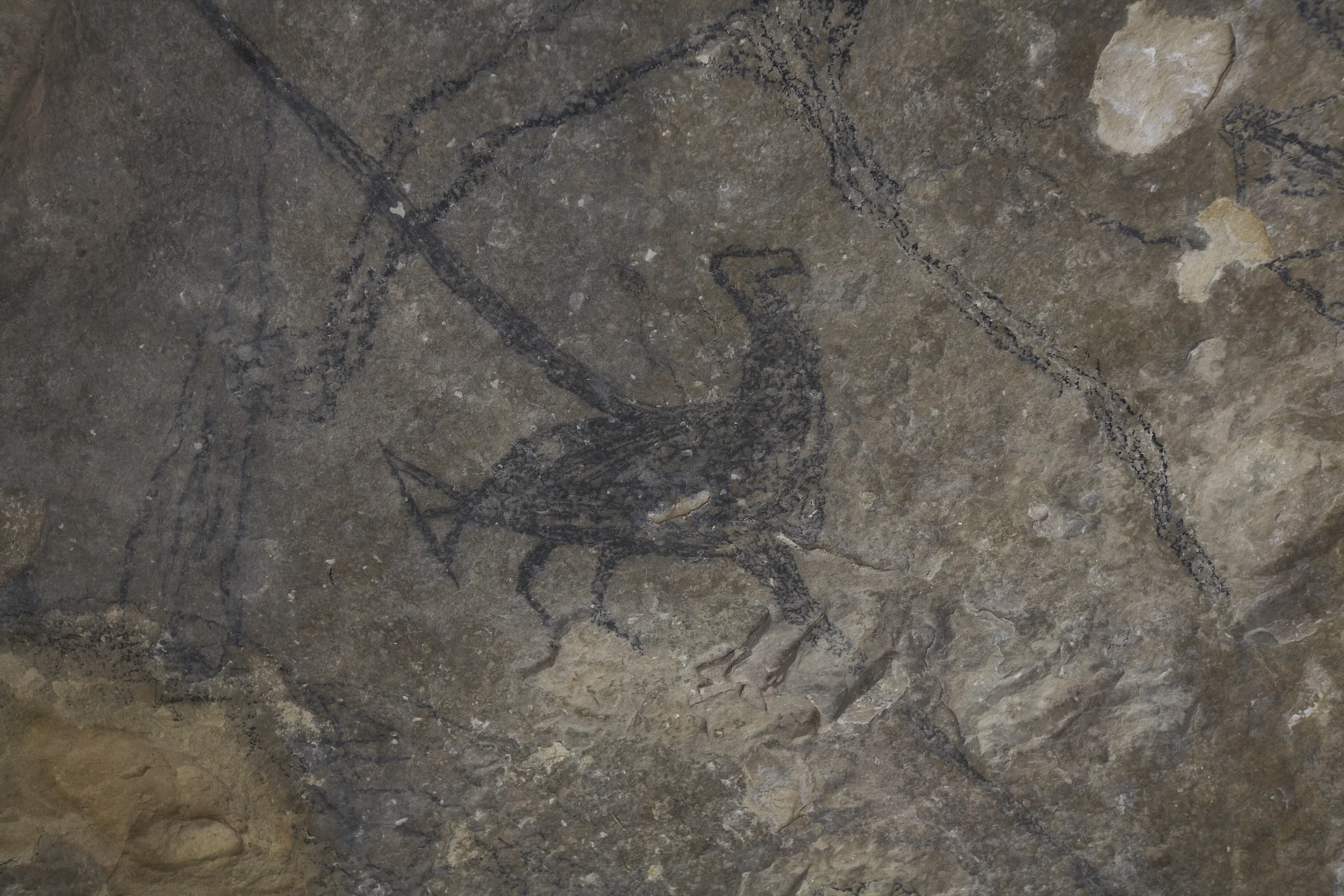 Eagle Cave.jpg