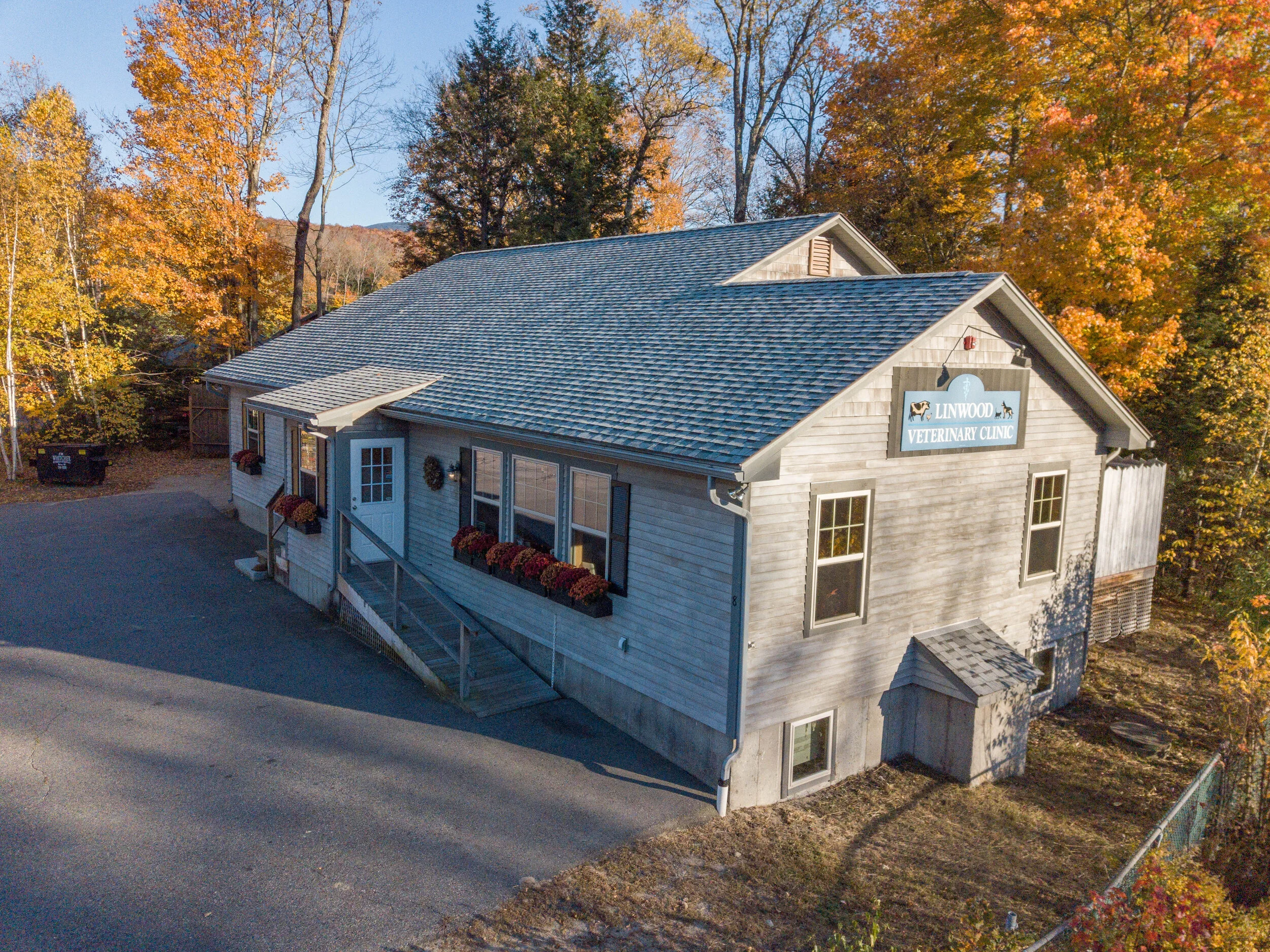 lynwood veterinary clinic
