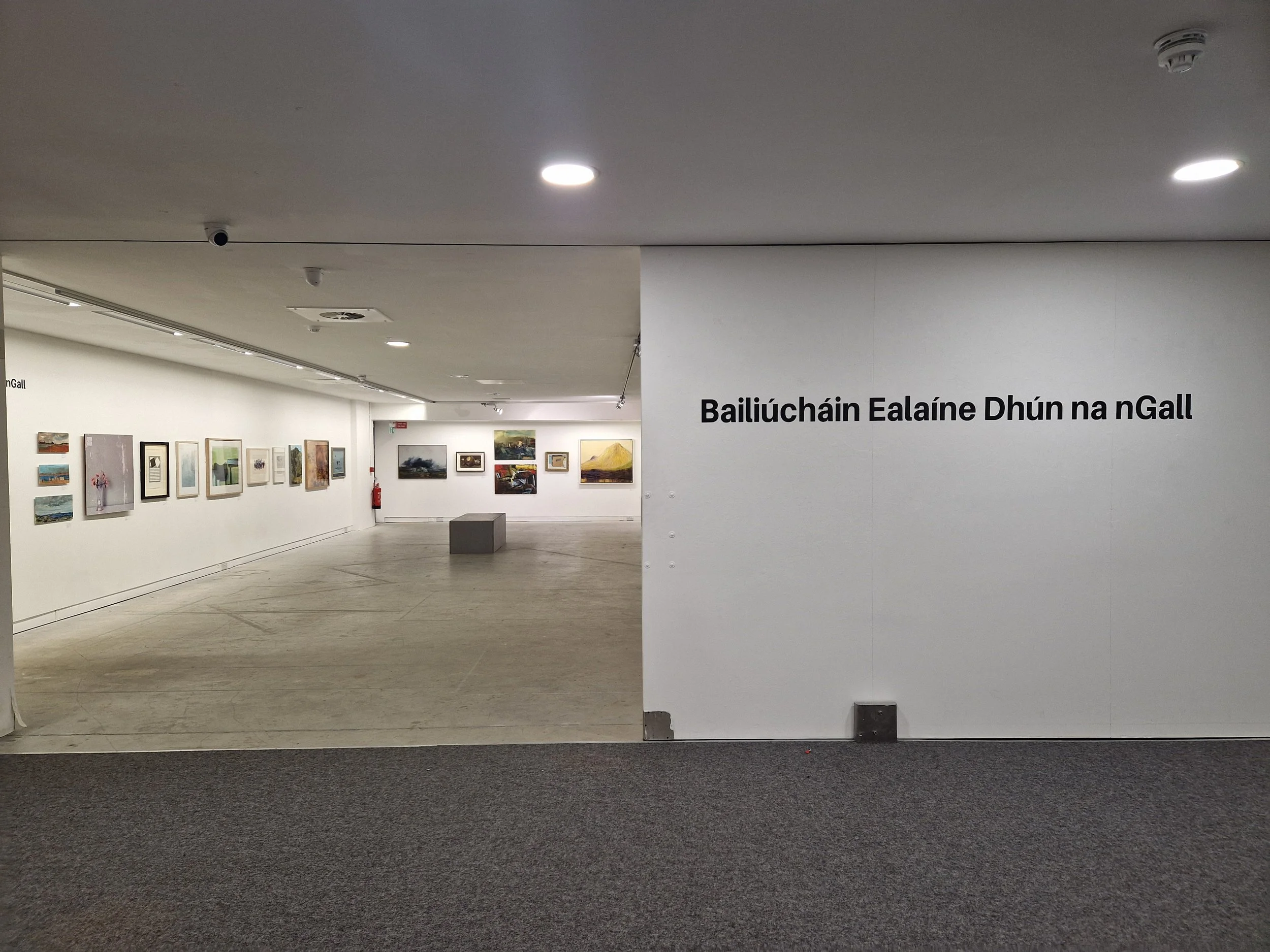 Bailiúcháin Ealaíne Dhún na nGall - Donegal Art Collections
