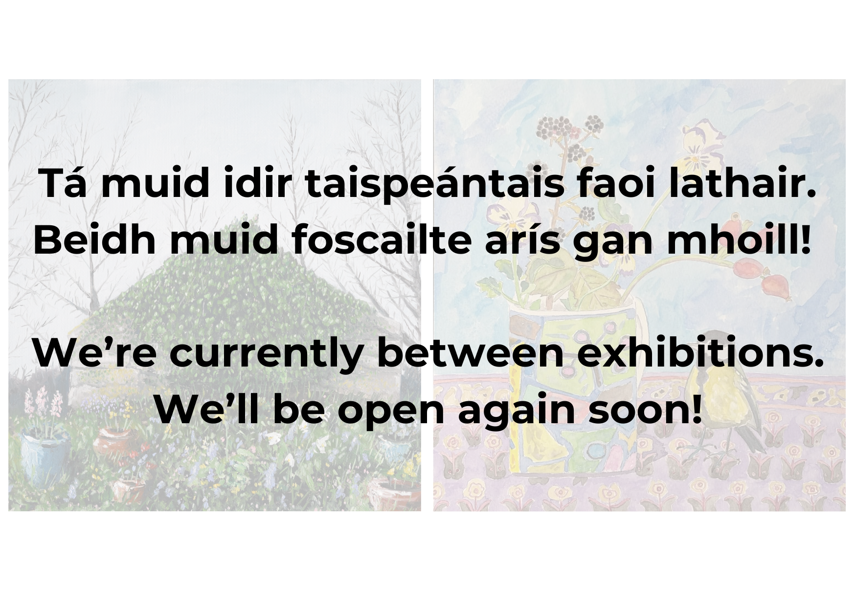 Idir Taispeantais / Between Exhibitions