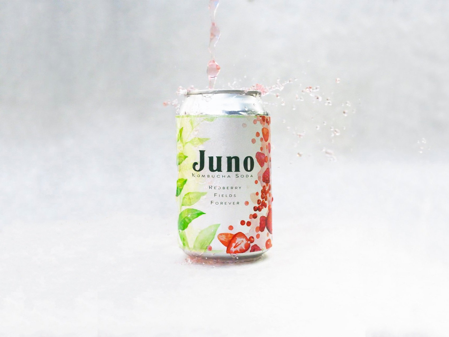 Juno+4.7.jpg