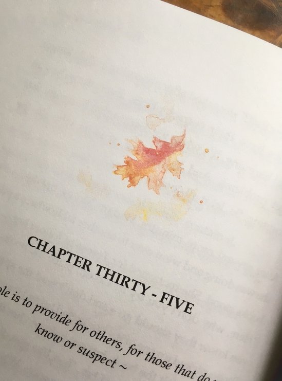The Saffron Collectors Chapter 35.jpg