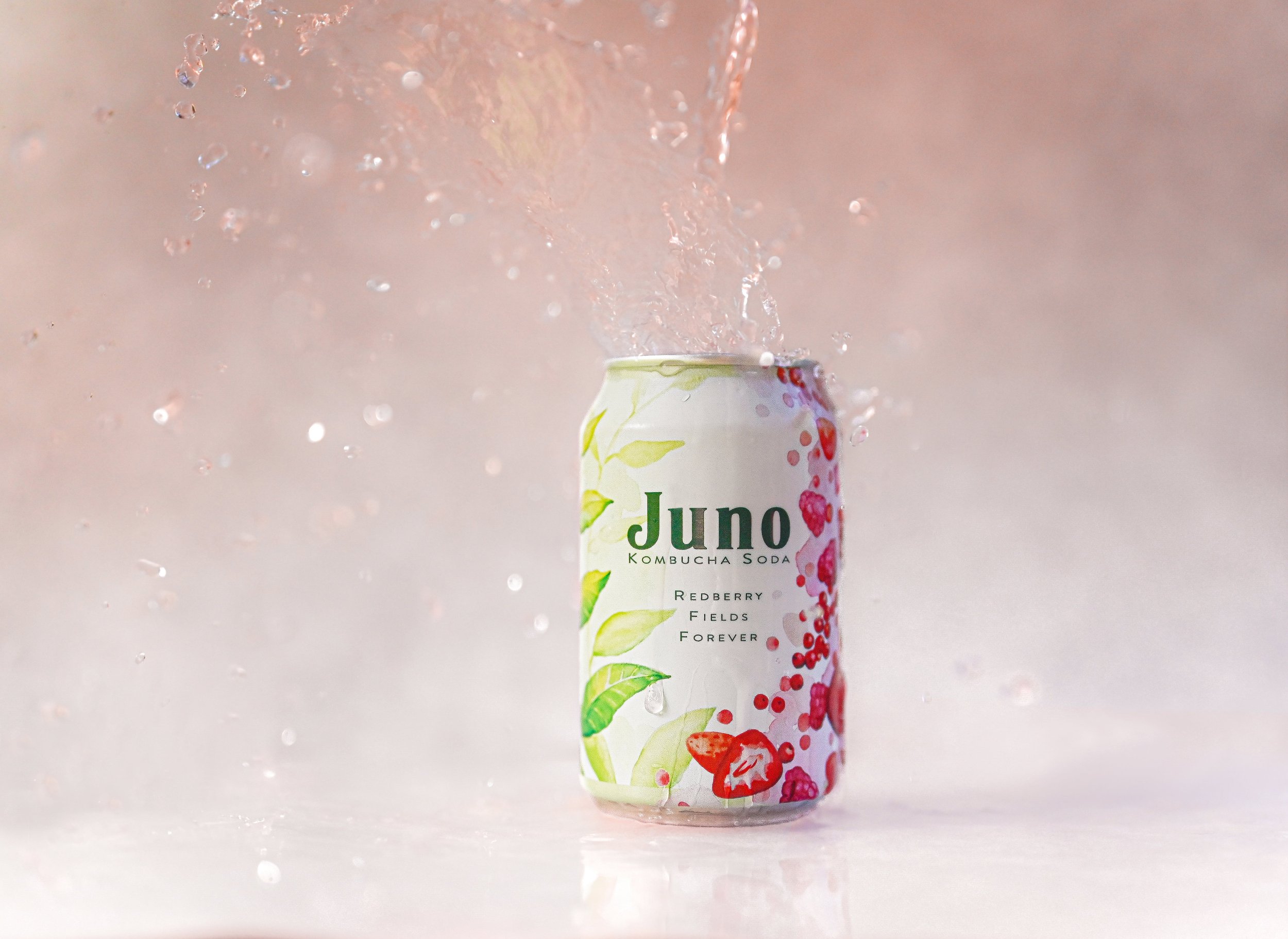 Juno Redberry Fields Forever Splash-min.jpg