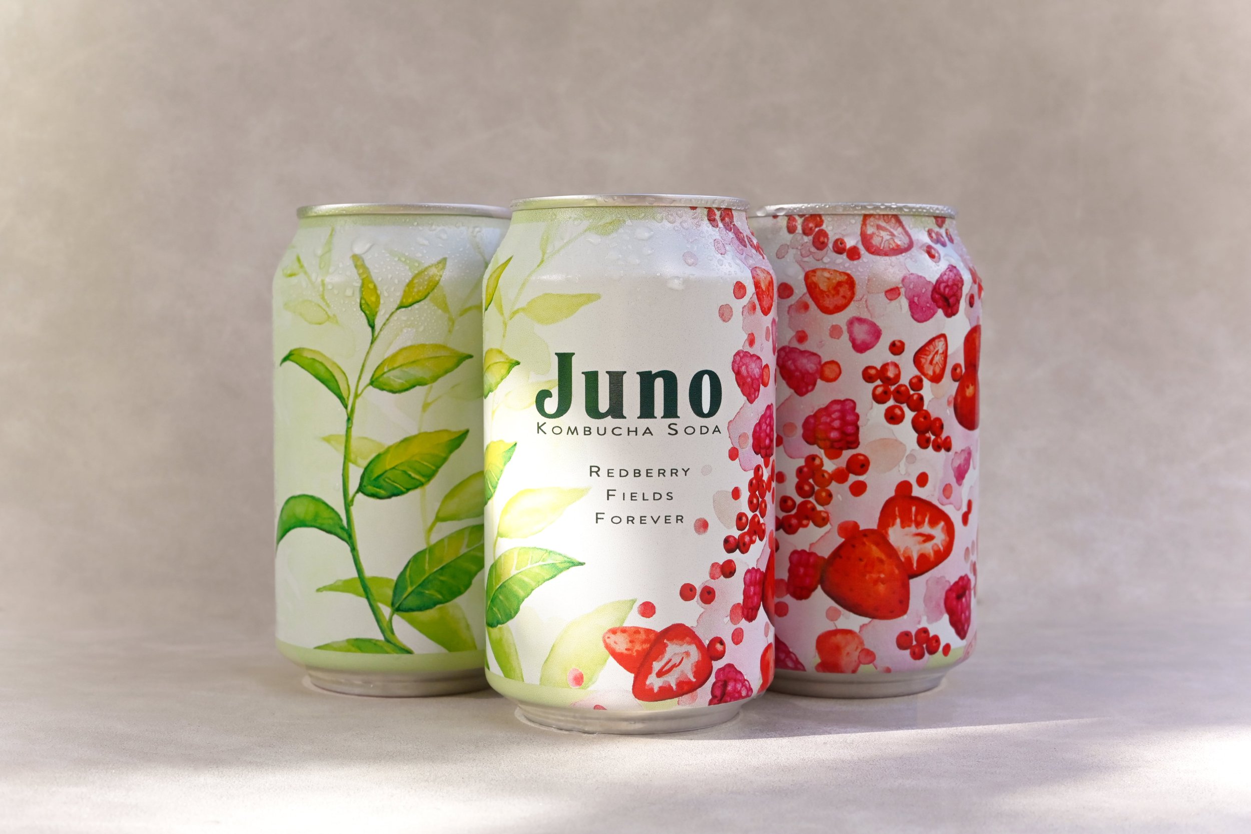 Juno Redberry Fields Forever 3-min.jpg