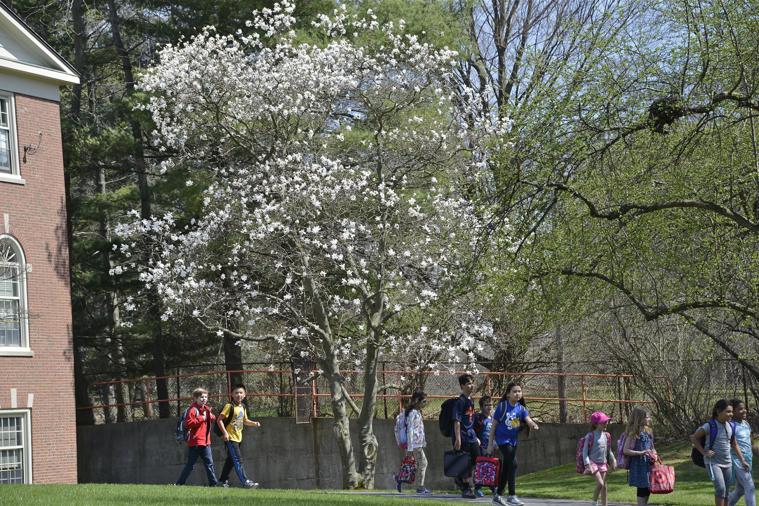 PCSD Photo for Act4Ed Banner.jpg