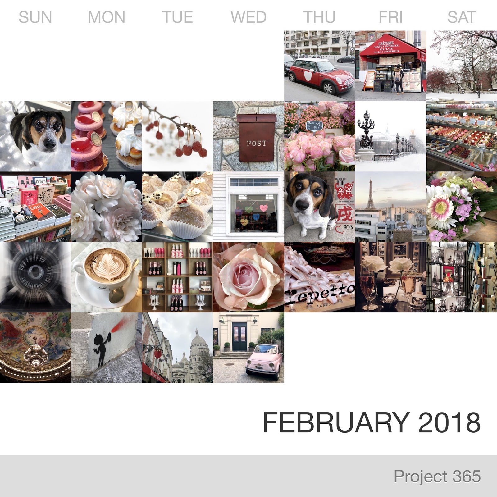 Project 365 _February-2018_Collage.jpg