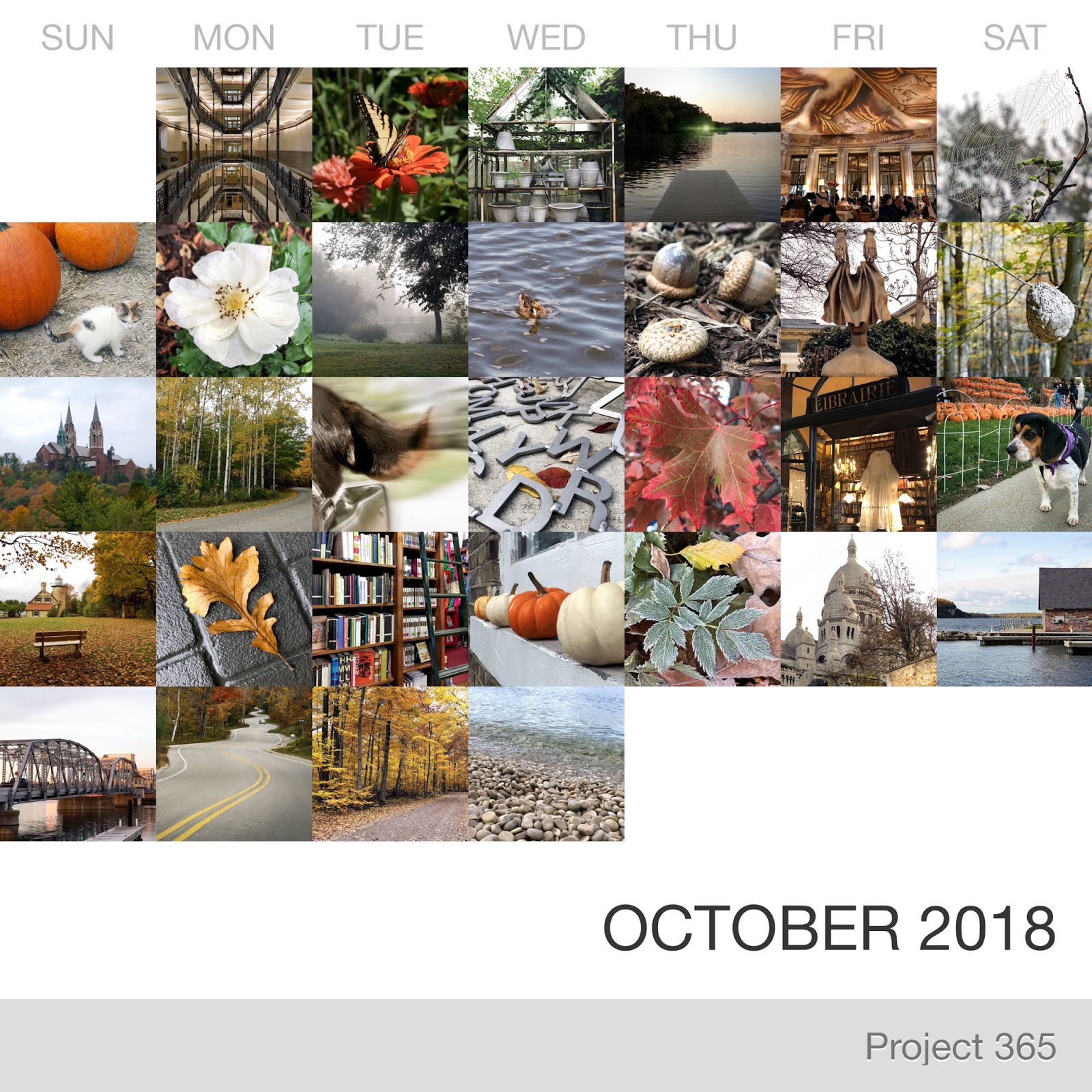 Project 365 _October-2018_Collage.jpg