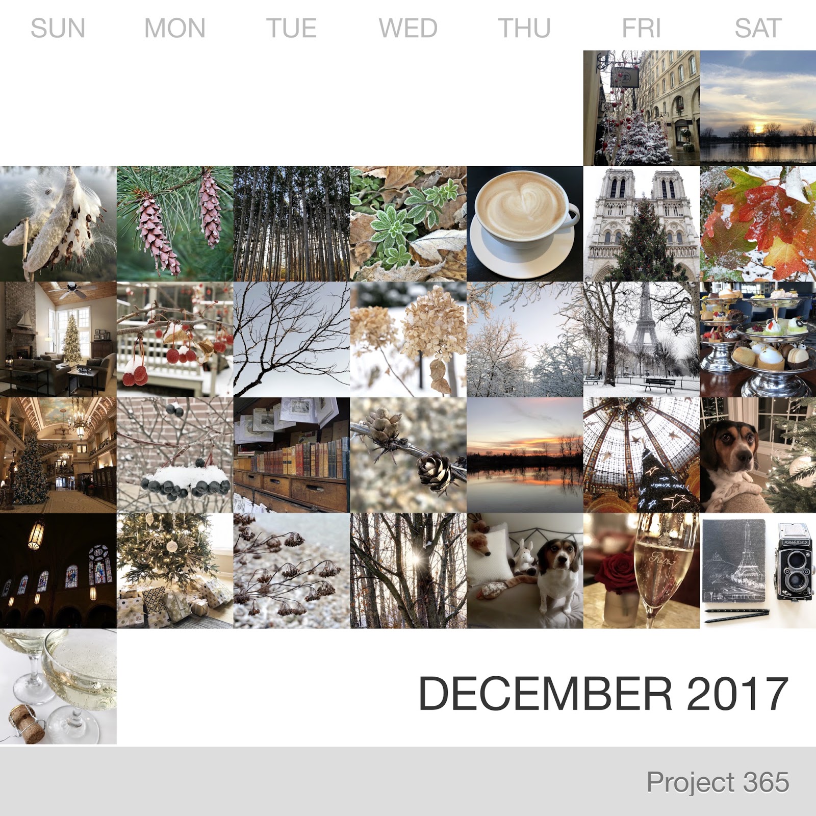 Project 365 _December-2017_Collage.jpg