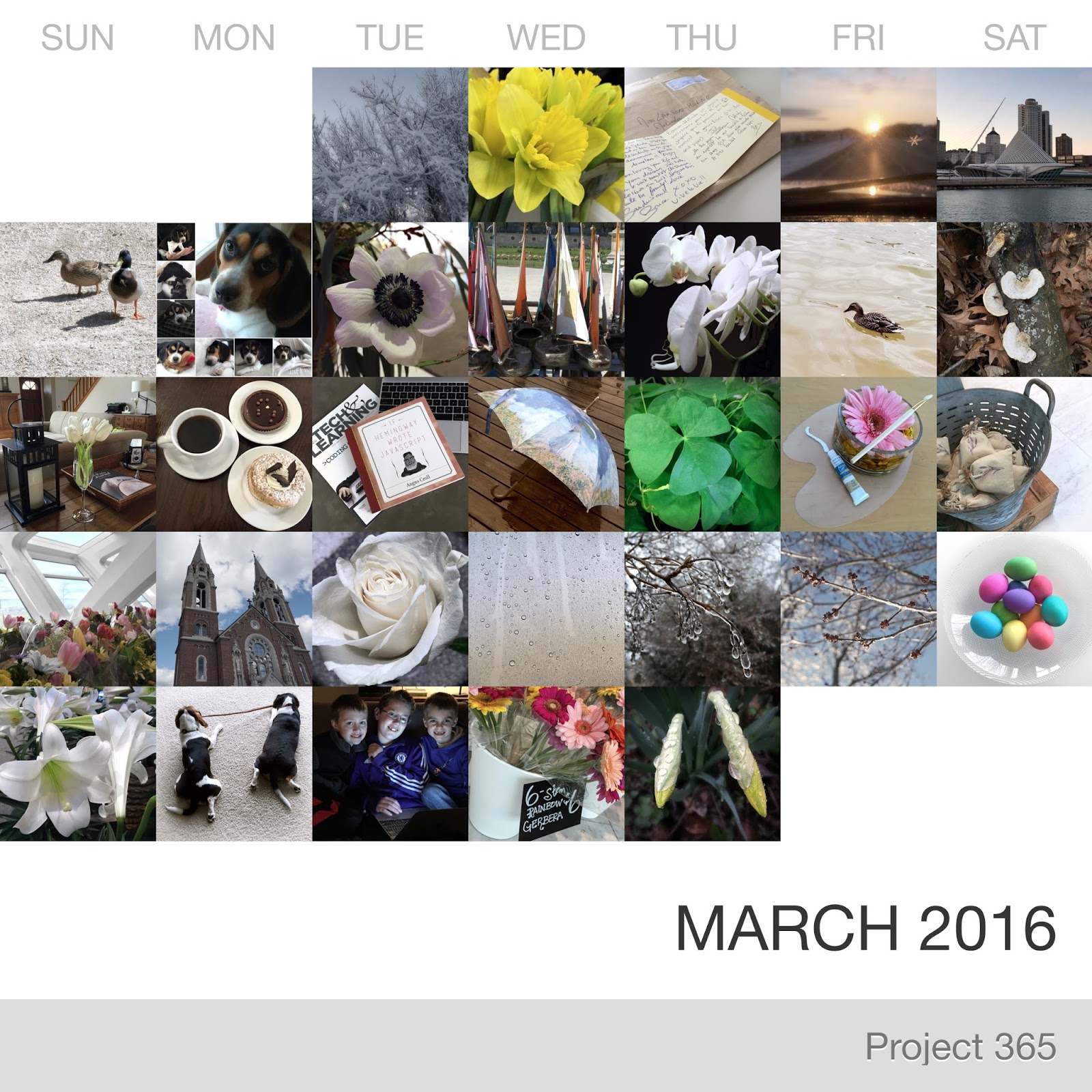 Project 365 _March-2016_Collage.jpg
