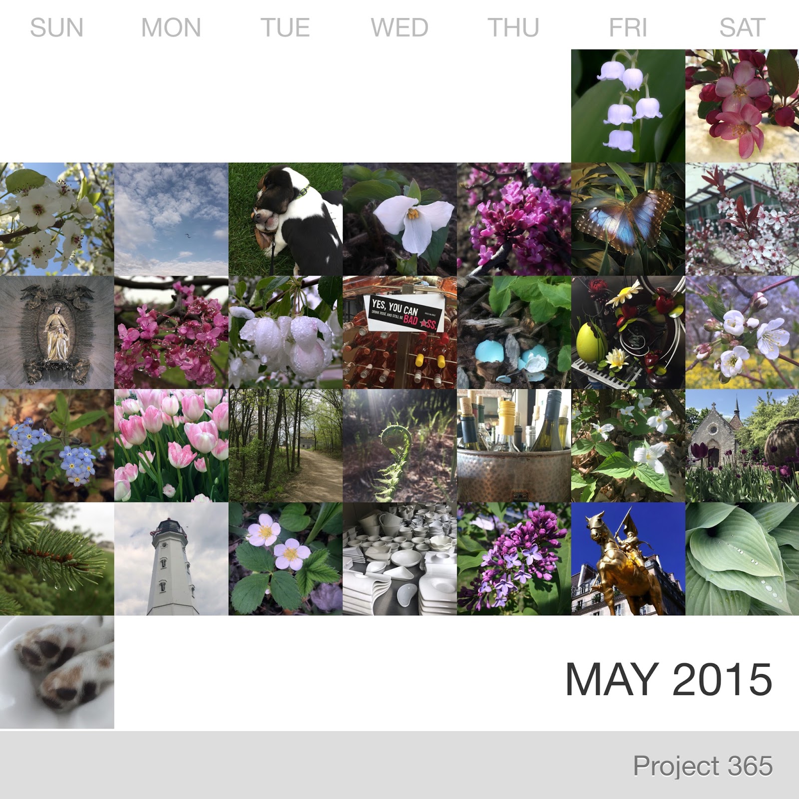 Project 365 _May-2015_Collage.jpg