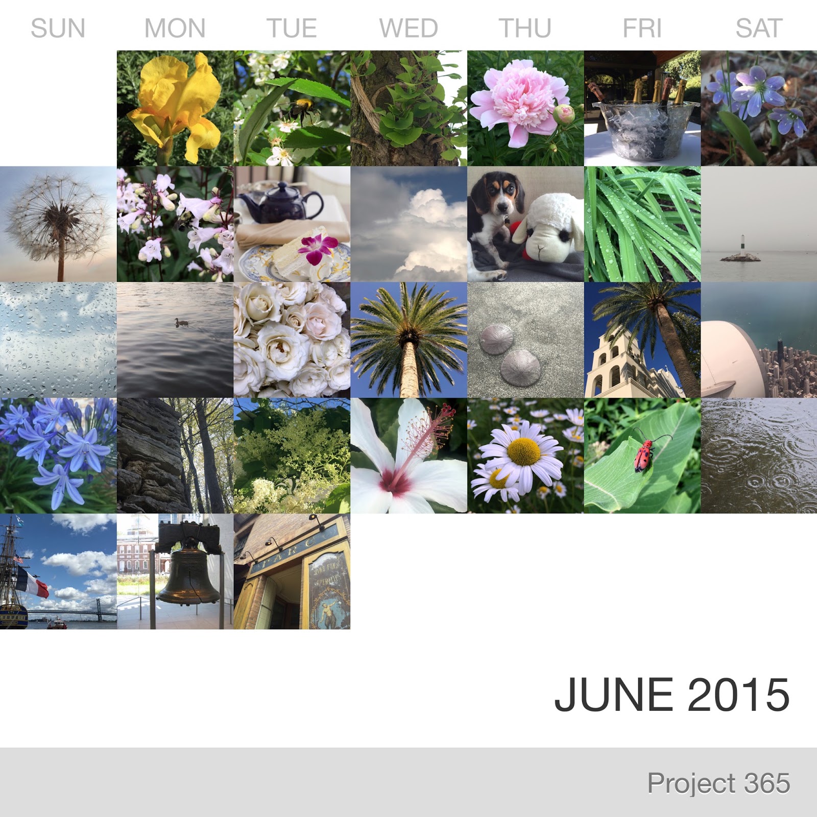 Project 365 _June-2015_Collage 2.jpg