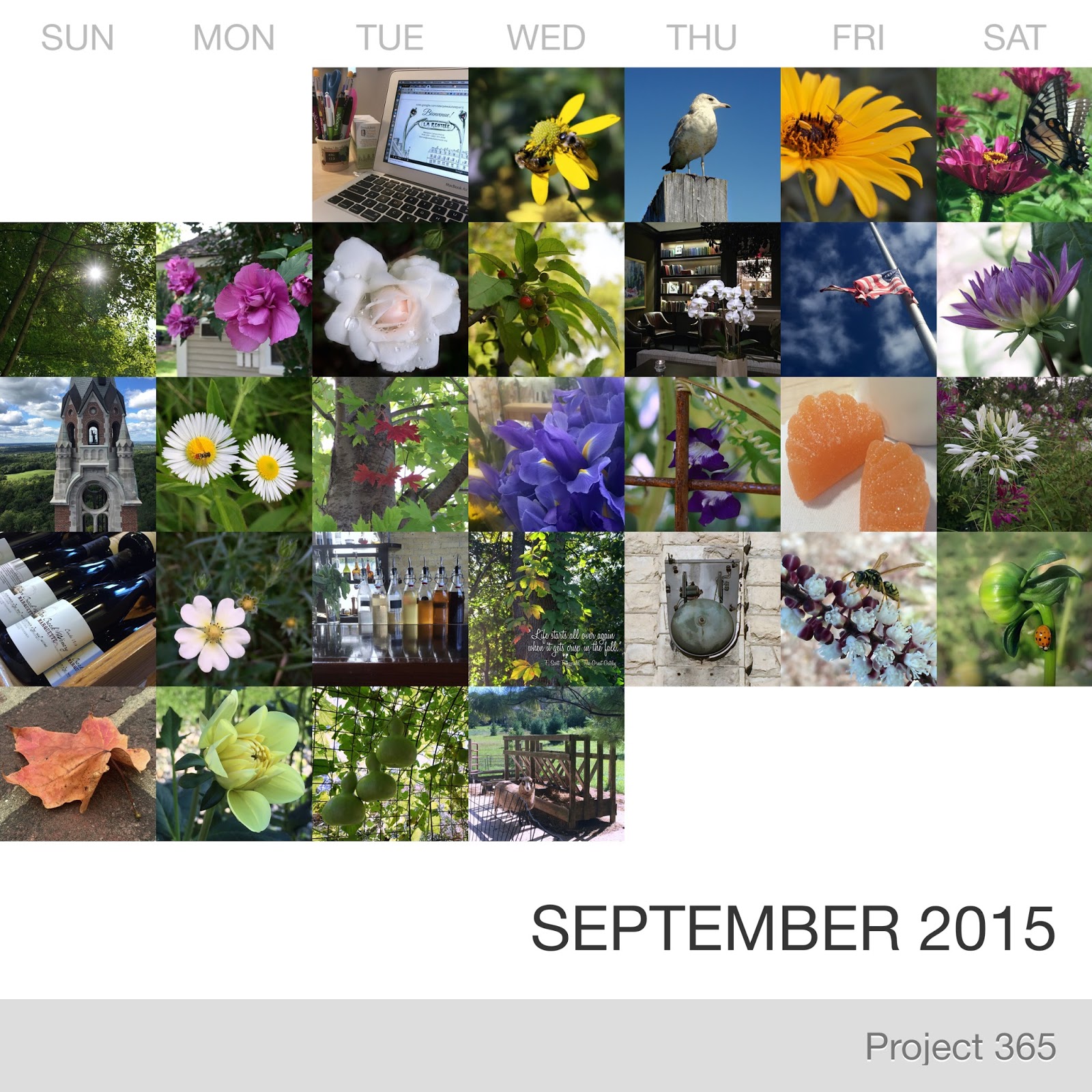 Project 365 _September-2015_Collage.jpg