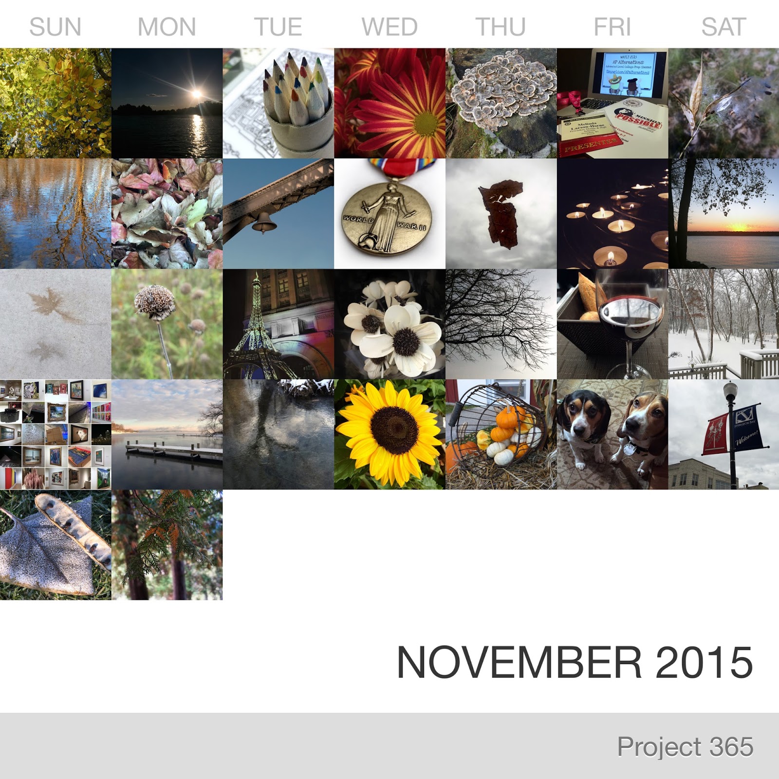 Project 365 _November-2015_Collage.jpg