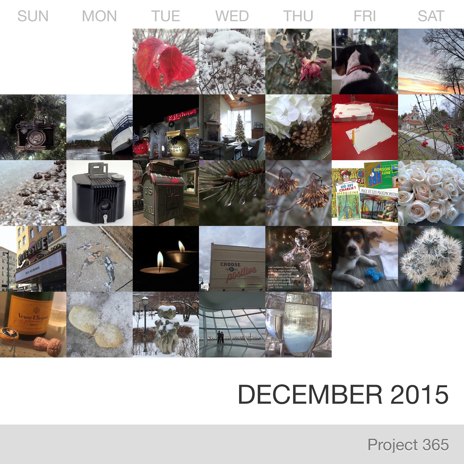 Project 365 _December-2015_Collage.jpg