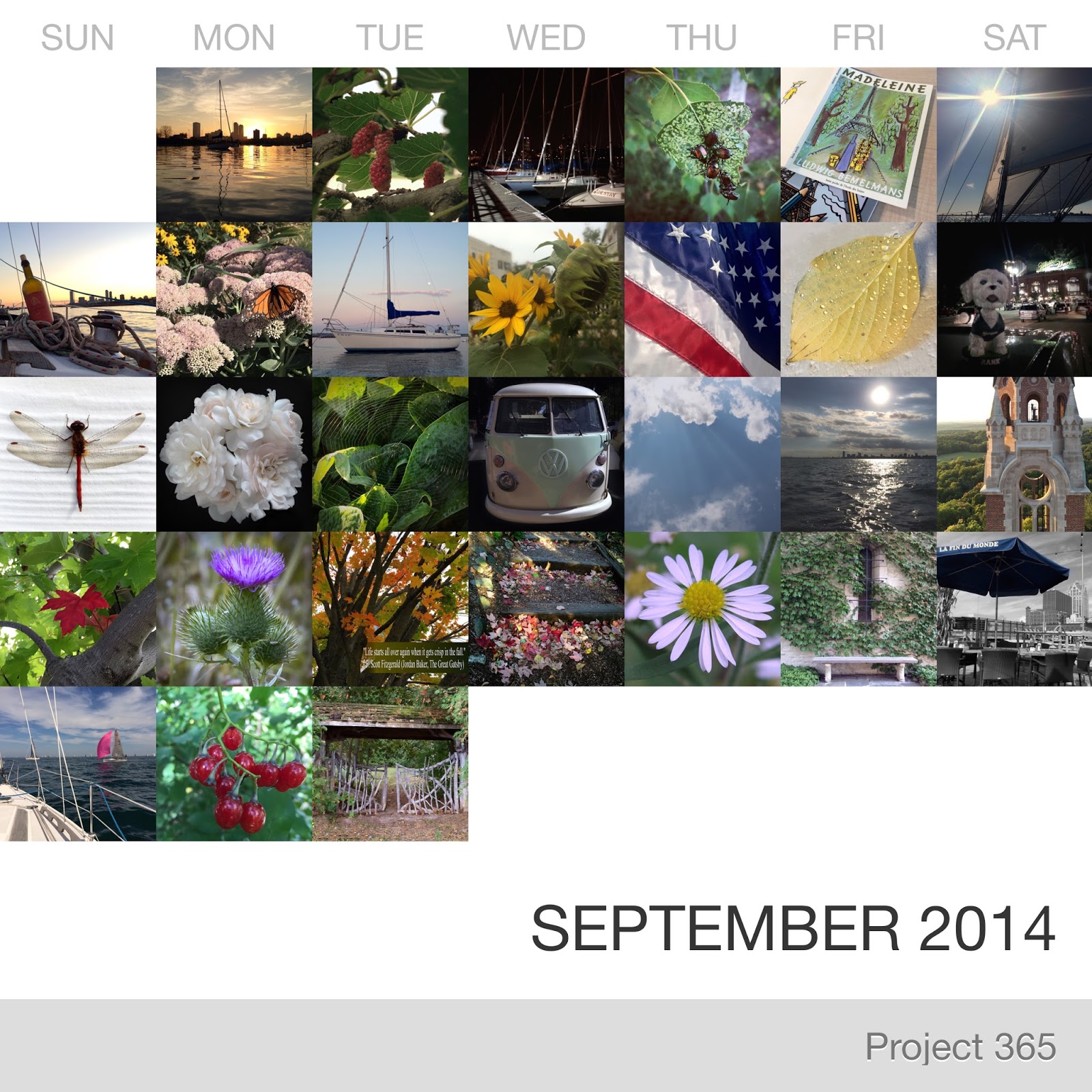 Project 365 _September-2014_Collage.jpg