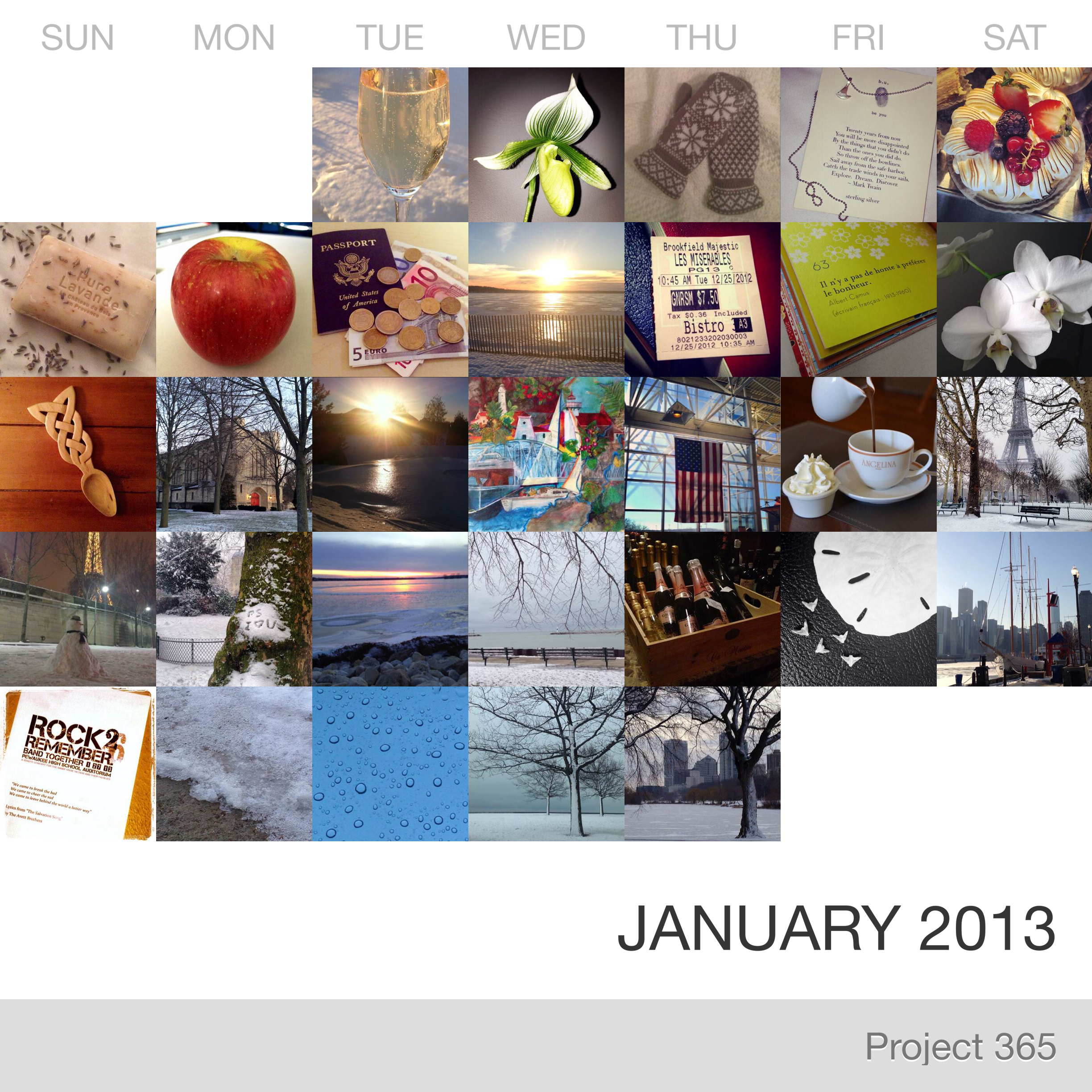 Project 365 _January-2013_Collage.jpg