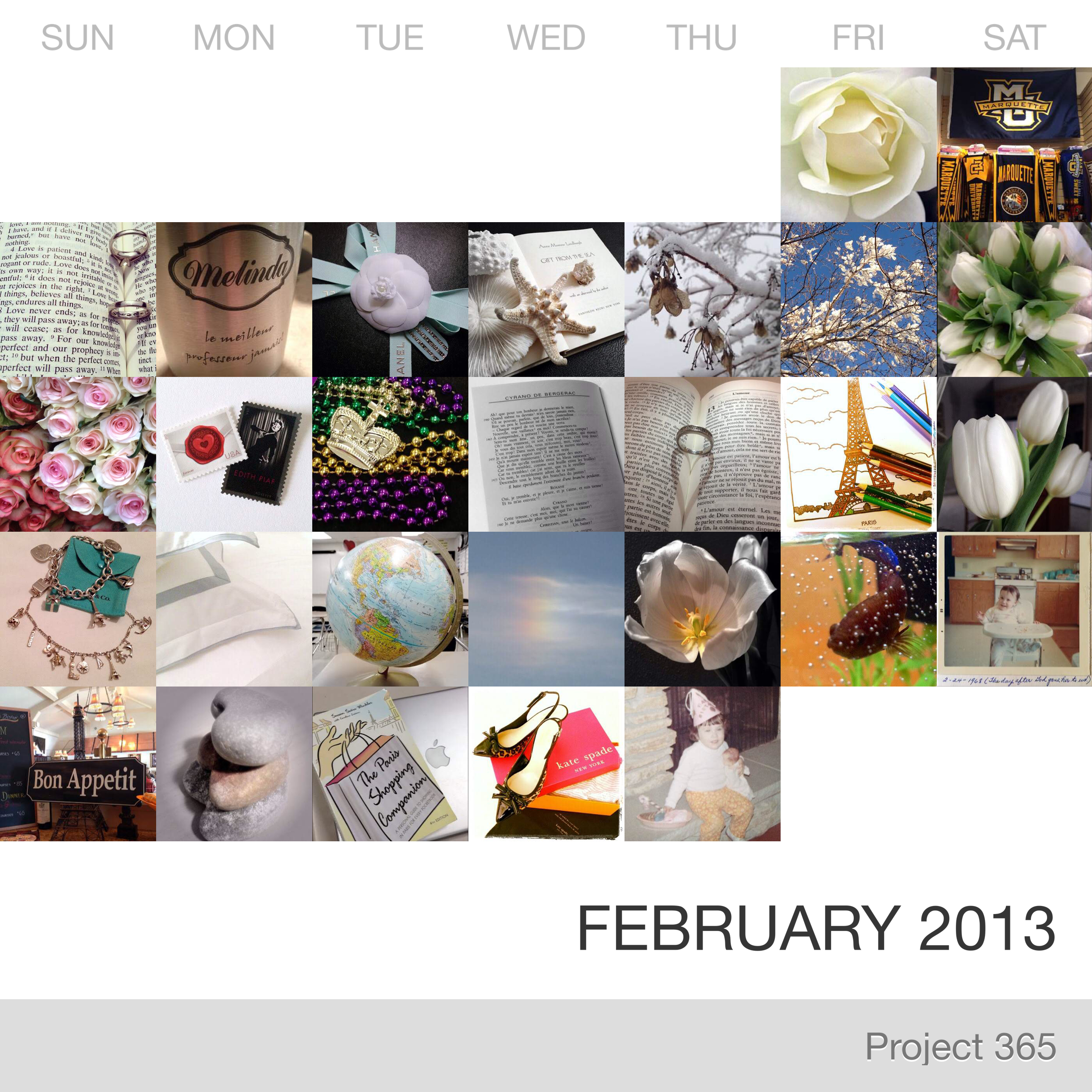 Project 365 _February-2013_Collage.jpg