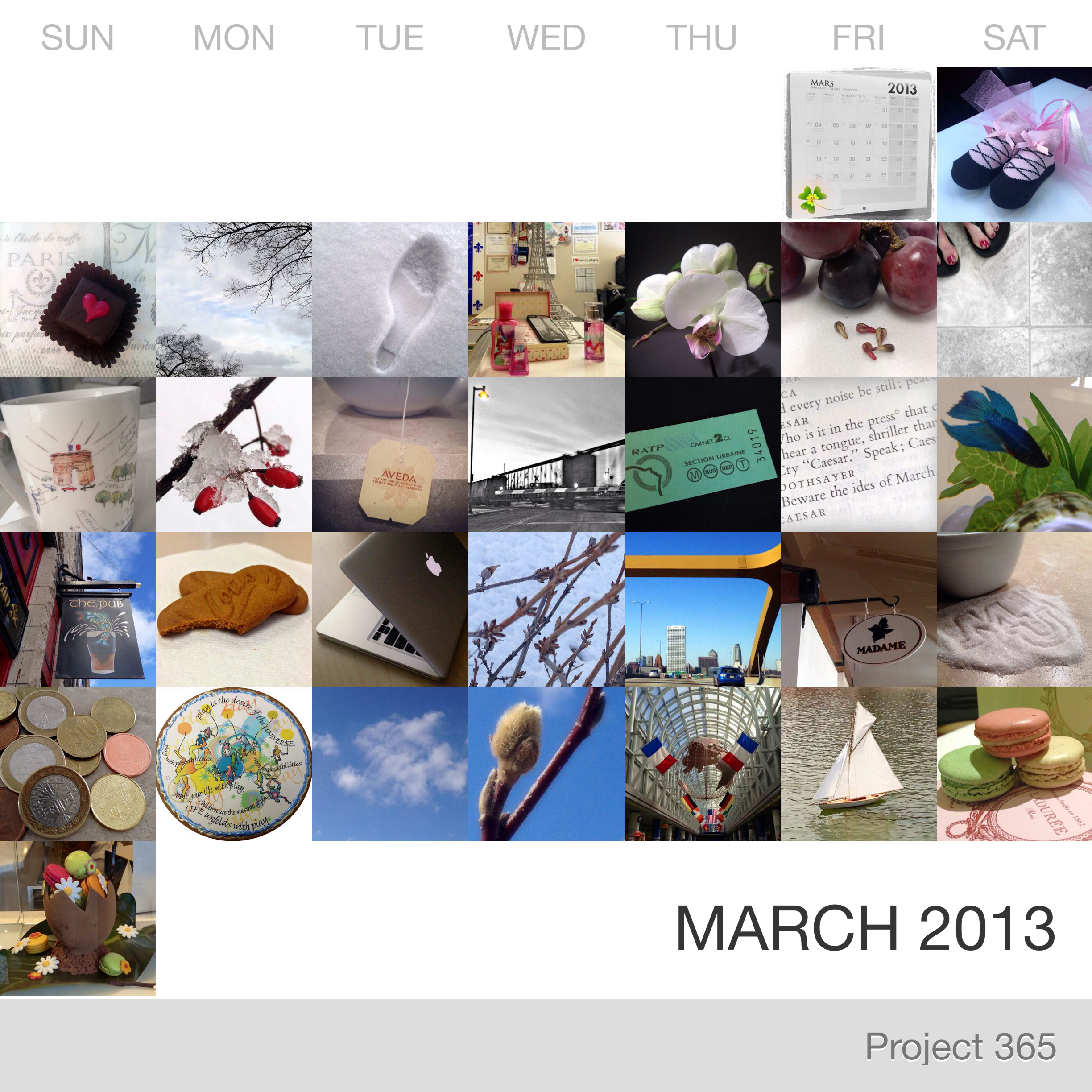 Project 365 _March-2013_Collage.jpg